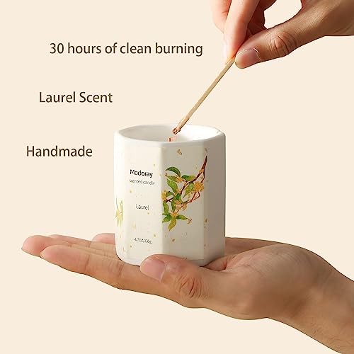 Modoray Scented Candle, Candles for Home Scented, Aromatherapy Candle,Long Lasting Natural Modoray