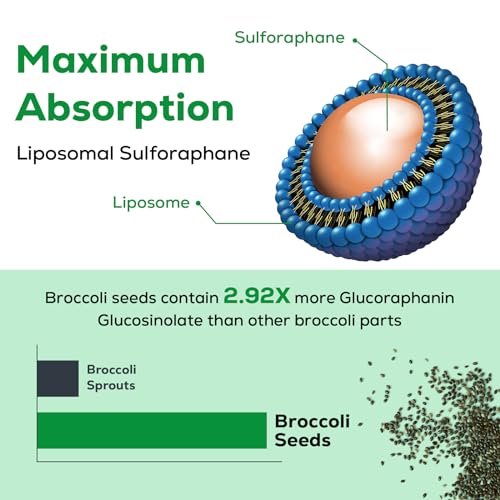 Osasuna Liposomal Sulforaphane 450MG, Maximum Absorption, 240 Softge Osasuna