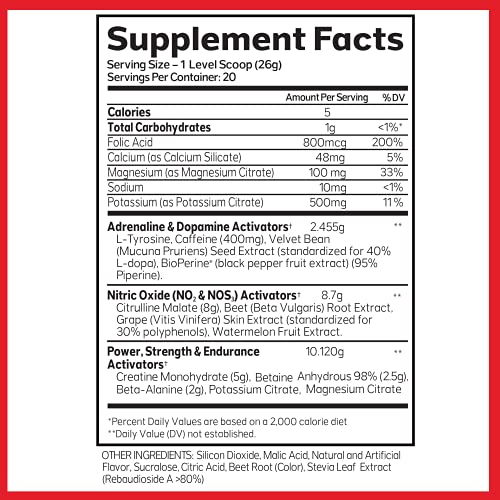 Advanced Molecular Labs - Preworkout Powder, Increases Drive, Performance Enhancer AML ADVANCED MOLECULAR LABS