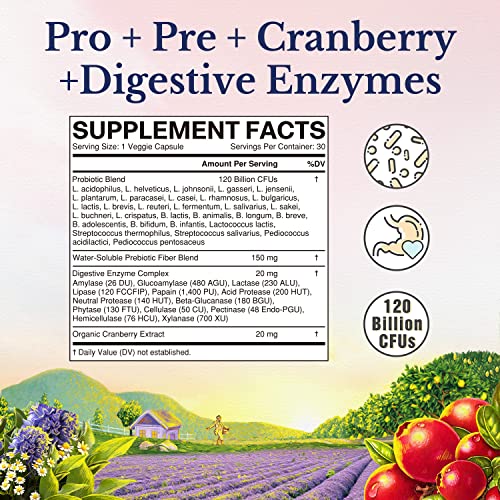 VITALITOWN Women's Probiotics 120 Billion CFUs 1 Daily, 30 Strains, with Prebiotics VITALITOWN