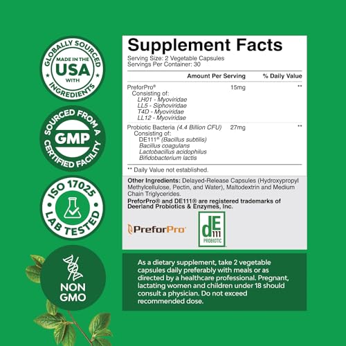 Prebiotics and Probiotics Gut Health Supplement - Super Potent Digestive Health Acidophil Natures Craft
