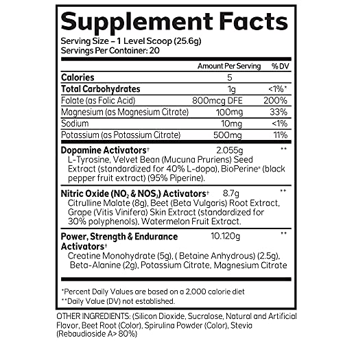 Advanced Molecular Labs - Pre Workout Powder, Increases Drive, Performance Enhancer AML ADVANCED MOLECULAR LABS