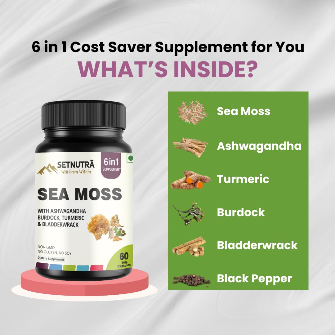 SETNUTRA Well From Within Sea Moss 6 in 1 Super Blend Ashwagandha Burdock Turmeric & Bladderwrack Immunity & Detox Support 60 Veg Capsules Non GMO No Gluten SETNUTRA Well From Within