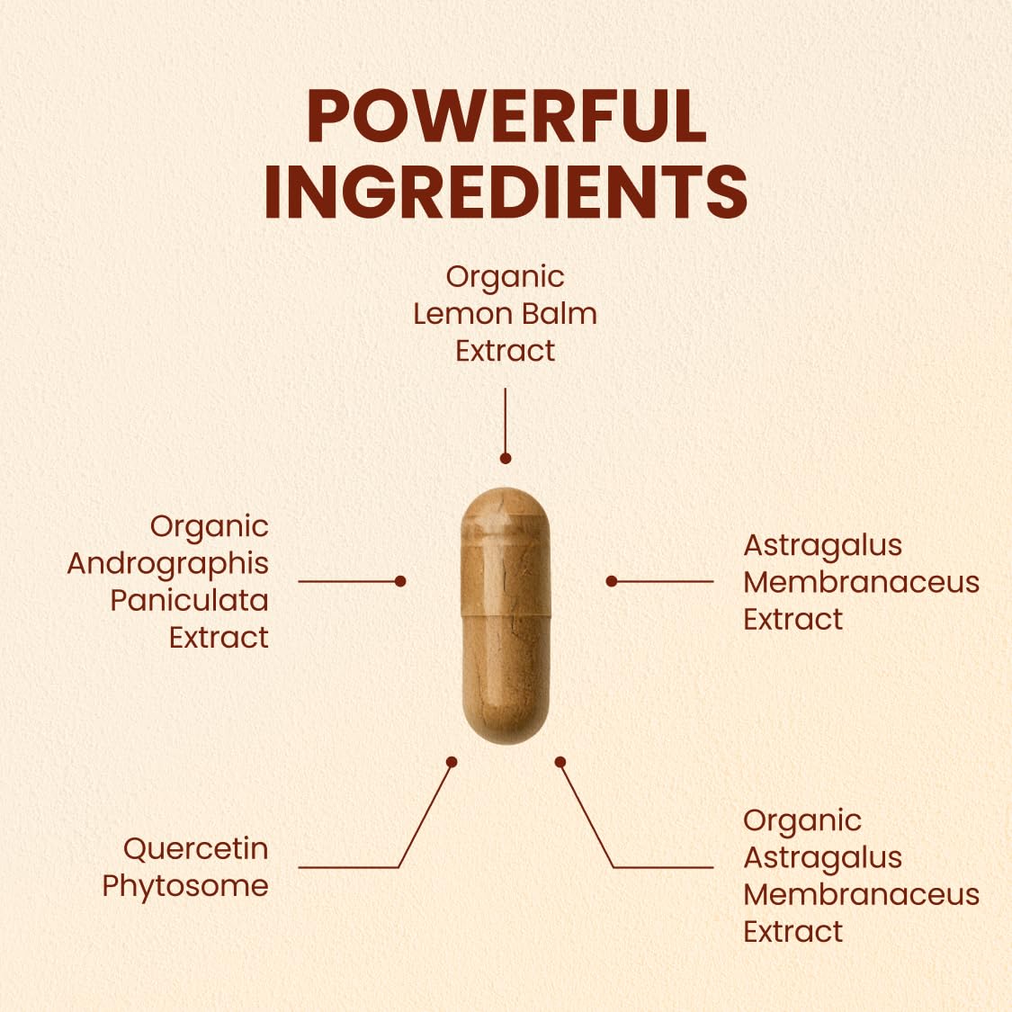 CHOQ Armor - Vegan Capsules - Professional-Grade Immune Defense - 20x Absorption Quercetin Phytosome - Andrographis - Astragalus - Supports Healthy Histamine Levels CHOQ