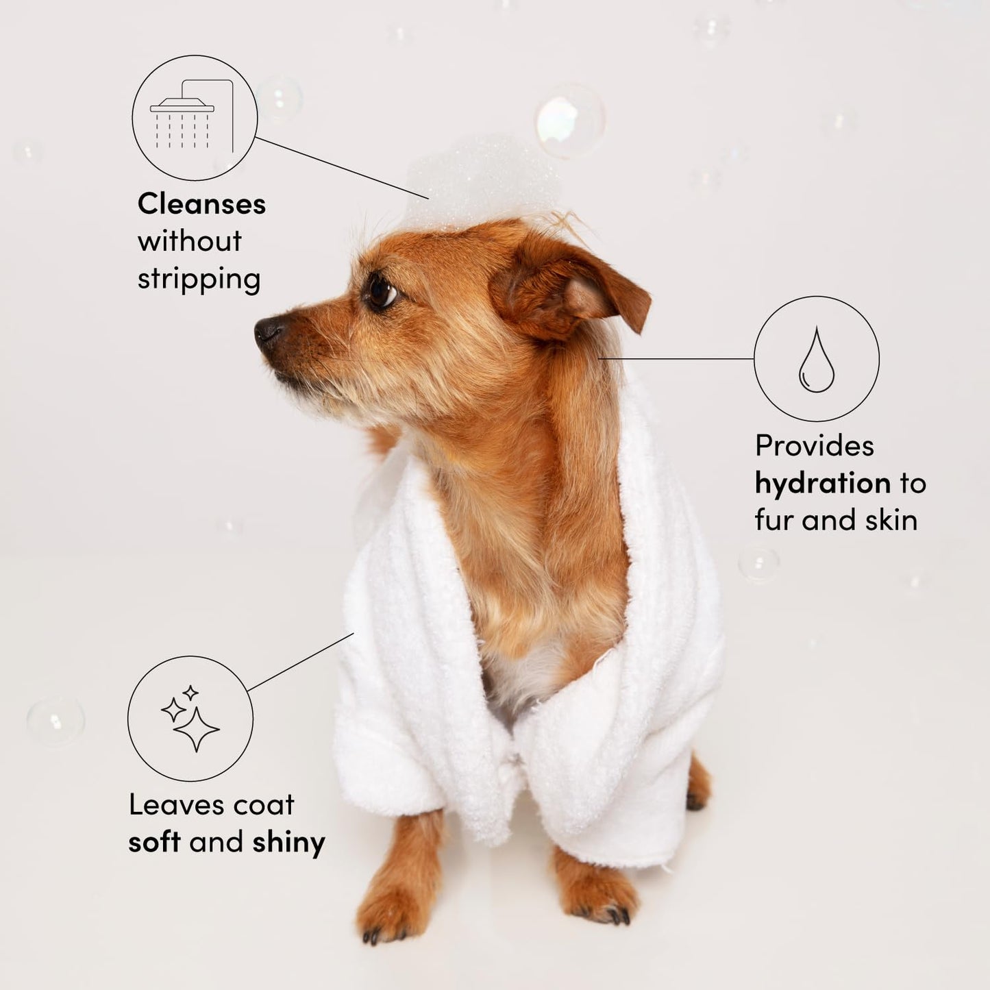 OUAI Fur Bébé Pet Shampoo, Mercer Street Scent - Dog Shampoo and Coat Wash for Hydrating, Cleansing and Adding Shine - Pet Supplies by OUAI (16 Fl Oz) OUAI