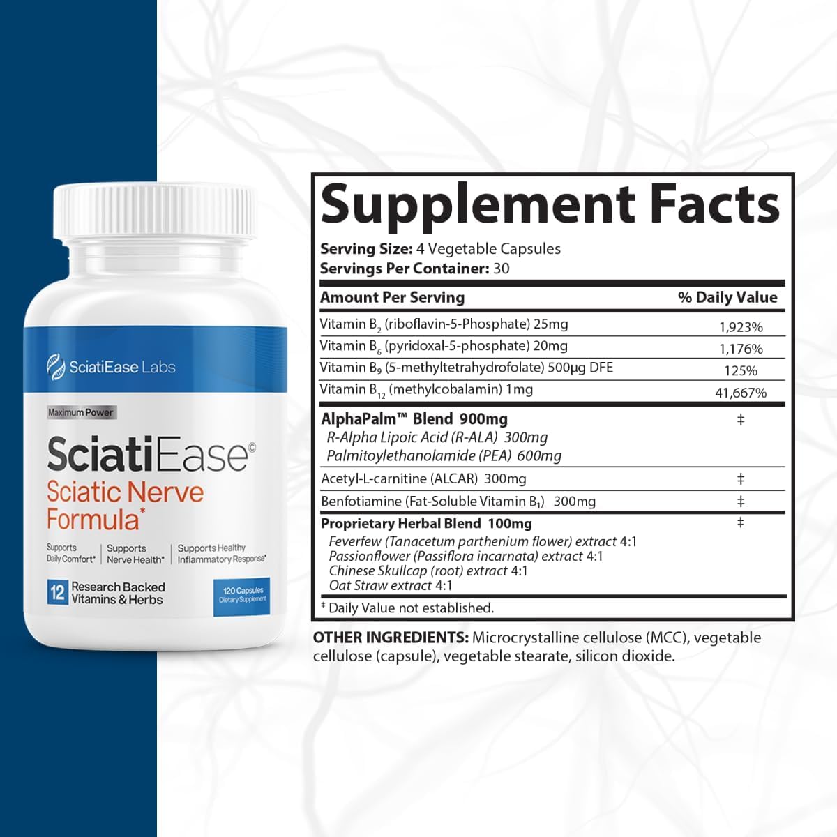 SciatiEase Sciatic Nerve Health Support Sciatic Nerve Supplement SciatiEase