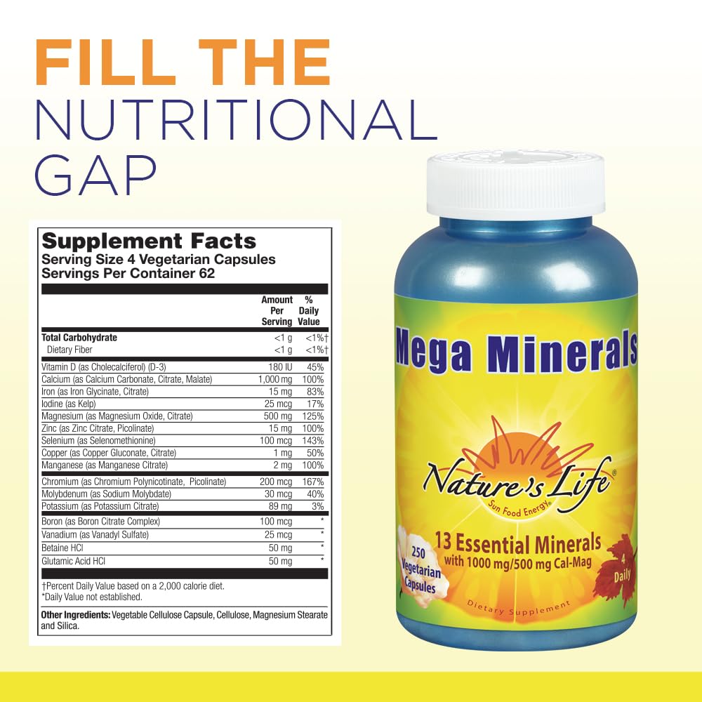 Nature's Life Mega Minerals Complex | Complete Multi Mineral + Vitamin D Supplement | 250 Vegetarian Capsules Nature's Life