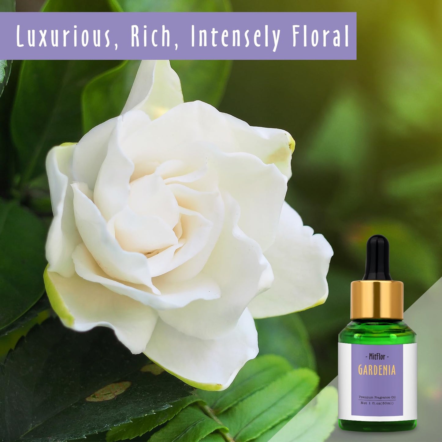 Gardenia Fragrance Oil, MitFlor Single Scented Oil, Large Size Premium Grade Fragrance Oil MitFlor