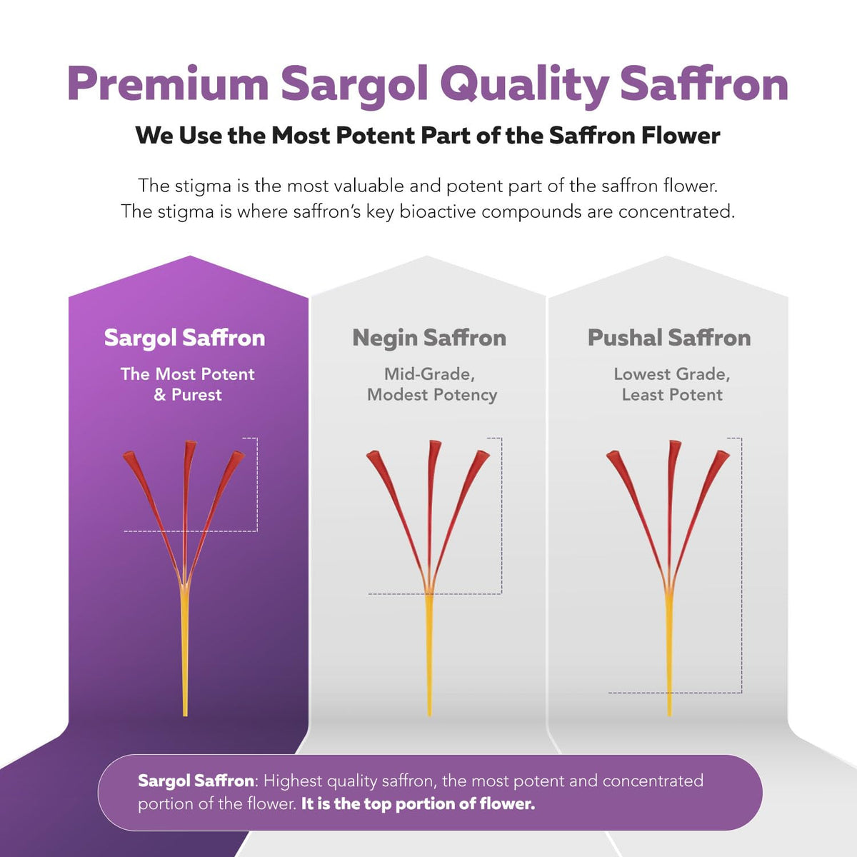 Organic Saffron Extract: Optimized Extract with Safromotivines, Safranal, and Crocins – Clinically Studied | Premium Persian Sargol Quality | Supports Mood, Triquetra Health