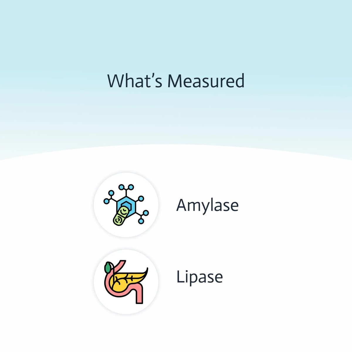 Pancreatic Function Test | 2-in-1 at-Home Test | Amylase | Lipase | Cap & CLIA Accredited Testing | Not Testable in NY & RI Choose Health