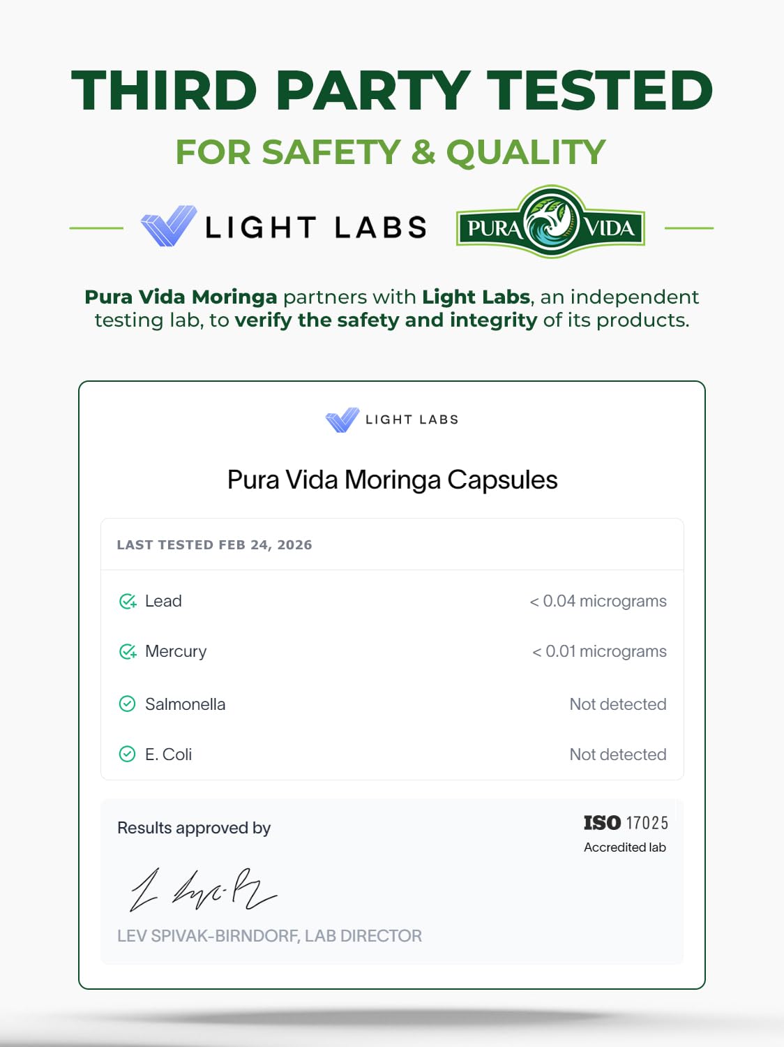 PURA VIDA MORINGA Leaf Extract Liquid Drops - USDA Organic Certified - Highly Purified, Bioavailable & Faster Absorption than Moringa Powder or Capsules PURA VIDA MORINGA