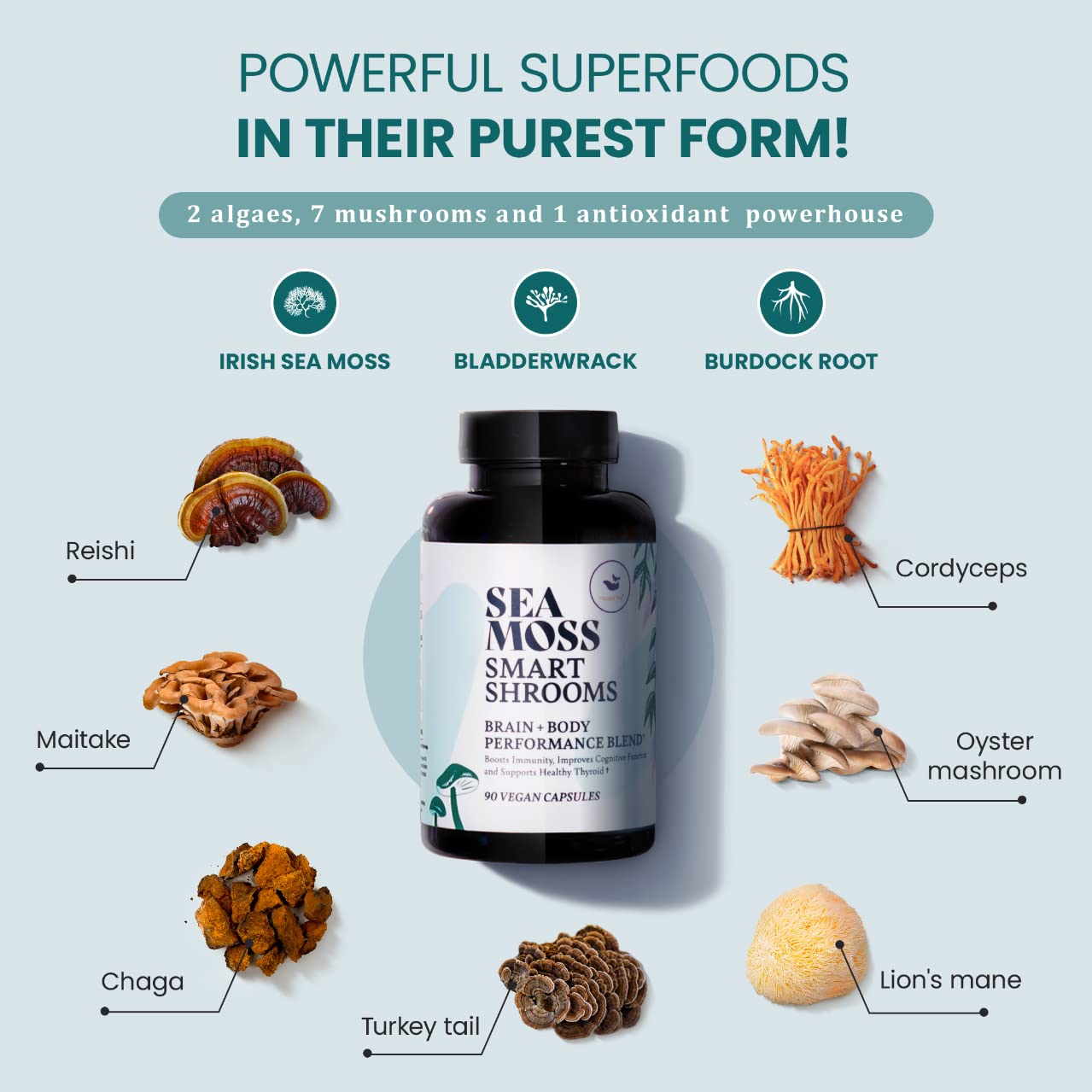 HAPPY FOX Irish Sea Moss Capsules & Mushroom Complex - Organic Seamoss with Adaptogens for Brain Health, 1500mg, 90 Vegan Capsules, Organic Mushroom Supplement HAPPY FOX