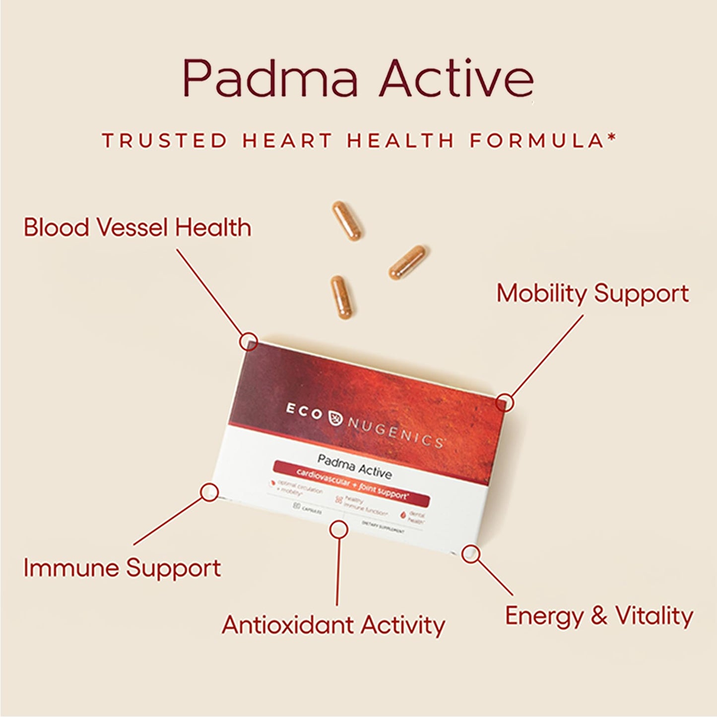 EcoNugenics Padma Active for Women & Men: Vitamin C Supplement for Collagen Formation, Energy Levels, and Immune System, Cellular & Antioxidant Support – Tibetan Recipe of Natural Herbs & Minerals EcoNugenics