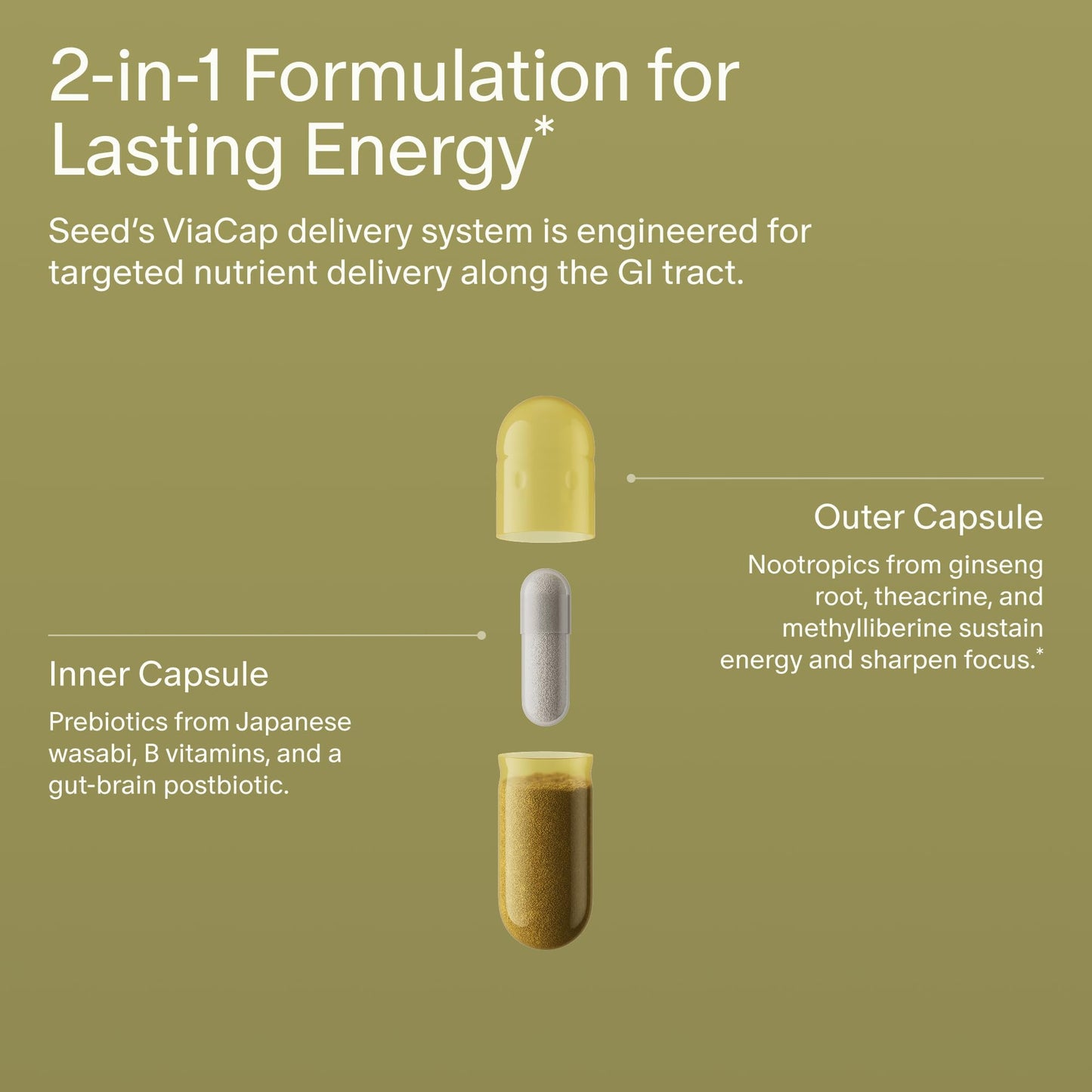 Seed AM-02 Energy + Focus - Daily Nootropic Supplement for Women & Men - Fast-Acting & Sustained Energy for Up to 6 Hours - Caffeine-Free Vegan & Shelf-Stable - 30 Capsules (30-Day Supply) Visit the Seed Store