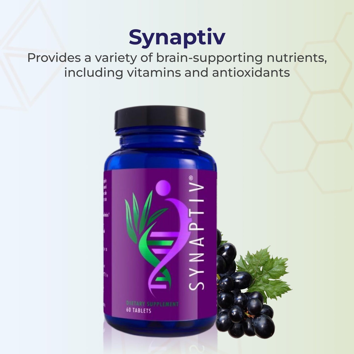 Youngevity Synaptiv™ Brain Support - 12in1 - Ginkgo, Huperzine, Bacopa, Quercetin and More - with Potent Antioxidant Blend + Vitamins - 60 Tablets (Pack of 1) Youngevity