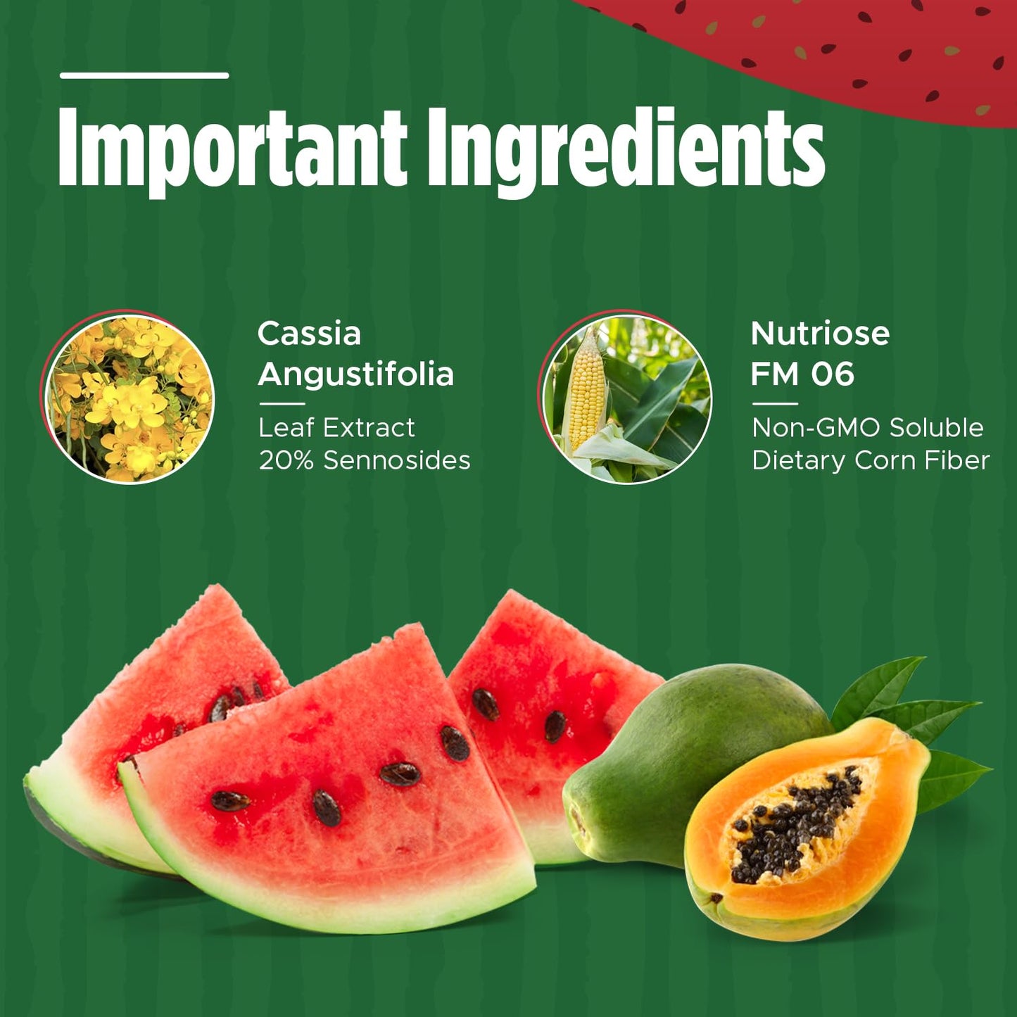 Iaso Instant Tea Watermelon Flavor - 4 grams (25 Sachets) Total Life Changes