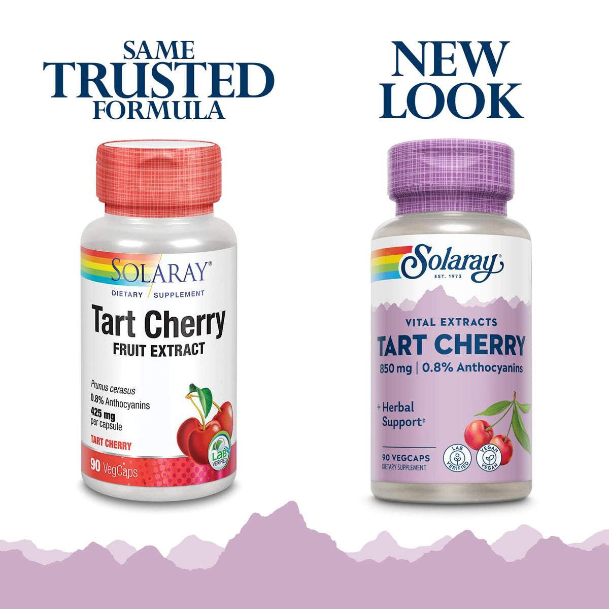 Solaray Tart Cherry Fruit Extract 850 mg - Tart Cherry Supplement with Antioxidants, Fruit Juice Extract with Flavonoids - 90 VegCaps SOLARAY
