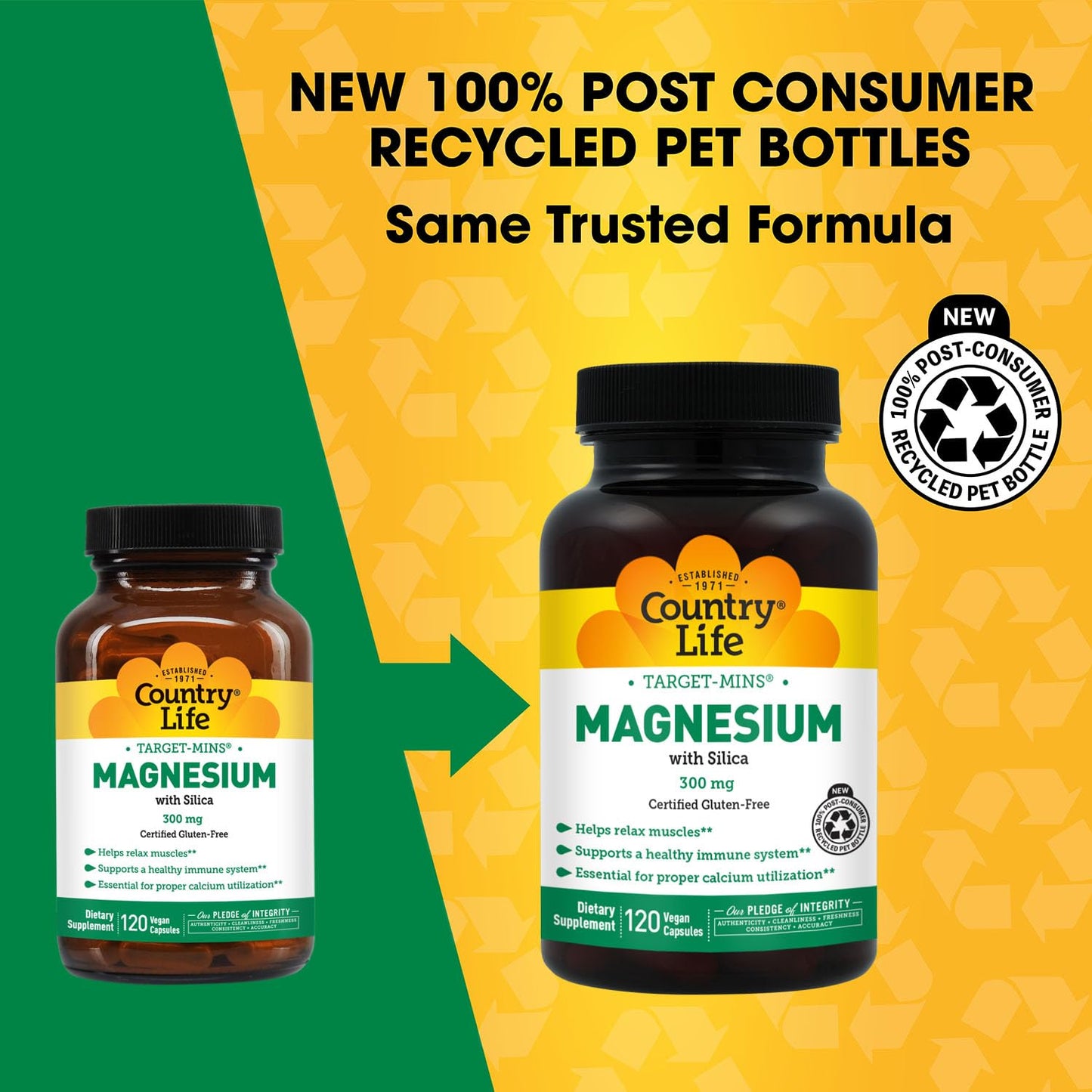 Target-Mins Magnesium with Silica 300 mg 120 Vegetarian Capsules Country Life