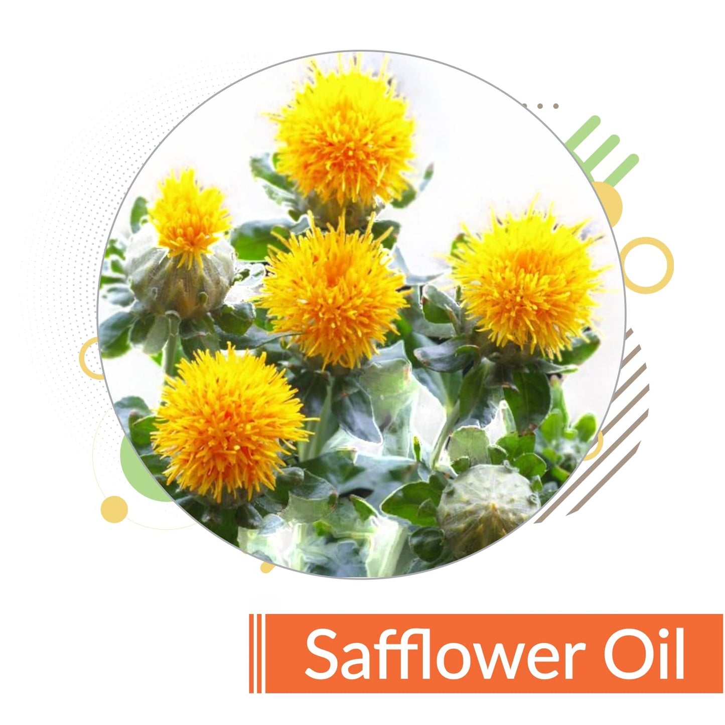 Crysalis Safflower (Carthamus Tinctorius) Oil - 0.51 Fl Oz (15ml) Crysalis