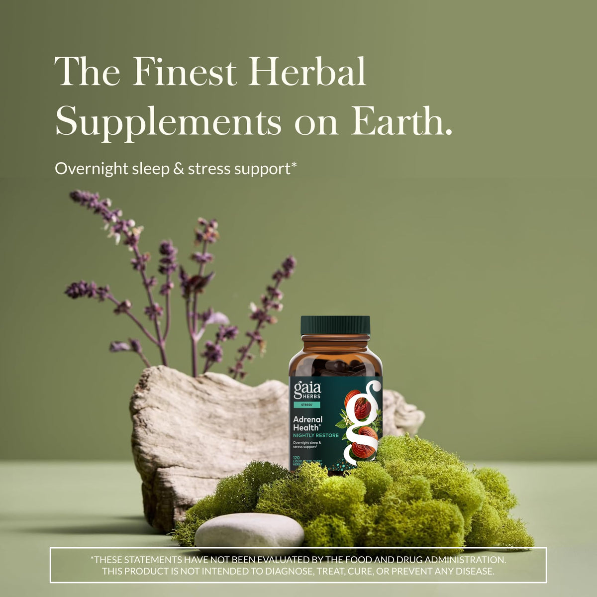 Gaia Herbs Adrenal Health Nightly Restore - Herbal Supplement with Ashwagandha, Magnolia Bark, Cordyceps, Lemon Balm & More* - 60 Vegan Liquid Phyto-Caps (30 Servings) Gaia Herbs