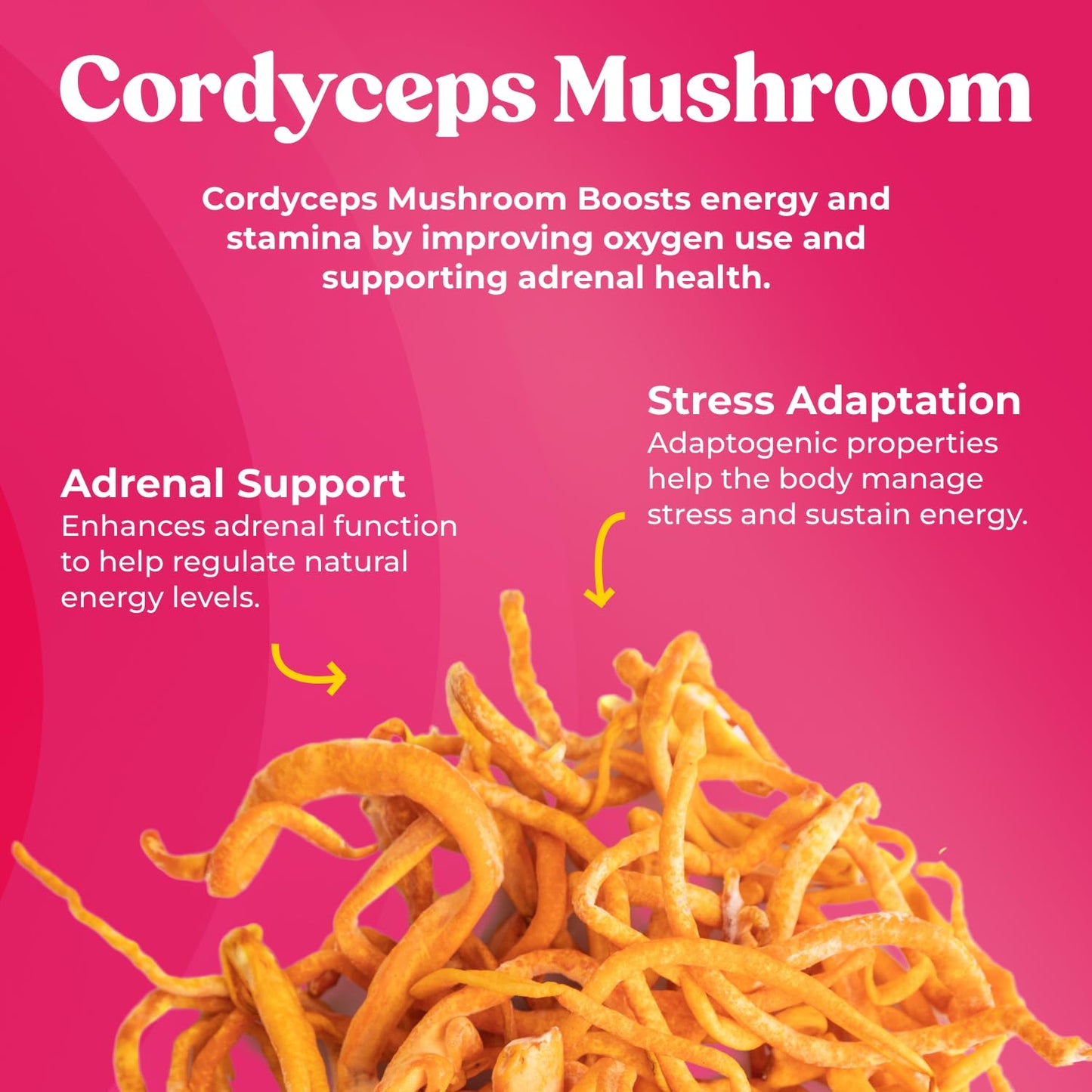 Fungiments Super Bouncy Mushroom Supplement – Cordyceps Focus Capsules for Adults – Natural Brain Boost, Green Tea Energy Vitamins Without jitters, Stamina for Women, Fatigue Support – 60 Count Fungiments