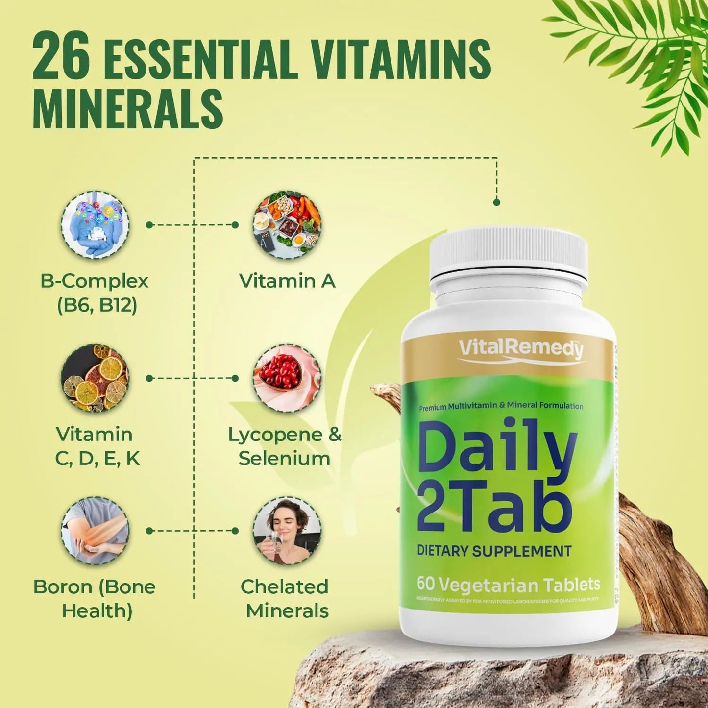 VitalRemedyMD Daily2Tab - All You Need Multivitamin Plus Multimineral Formula. 26 Essential Nutrients for Women and Men, 60 Tablets VitalRemedyMD