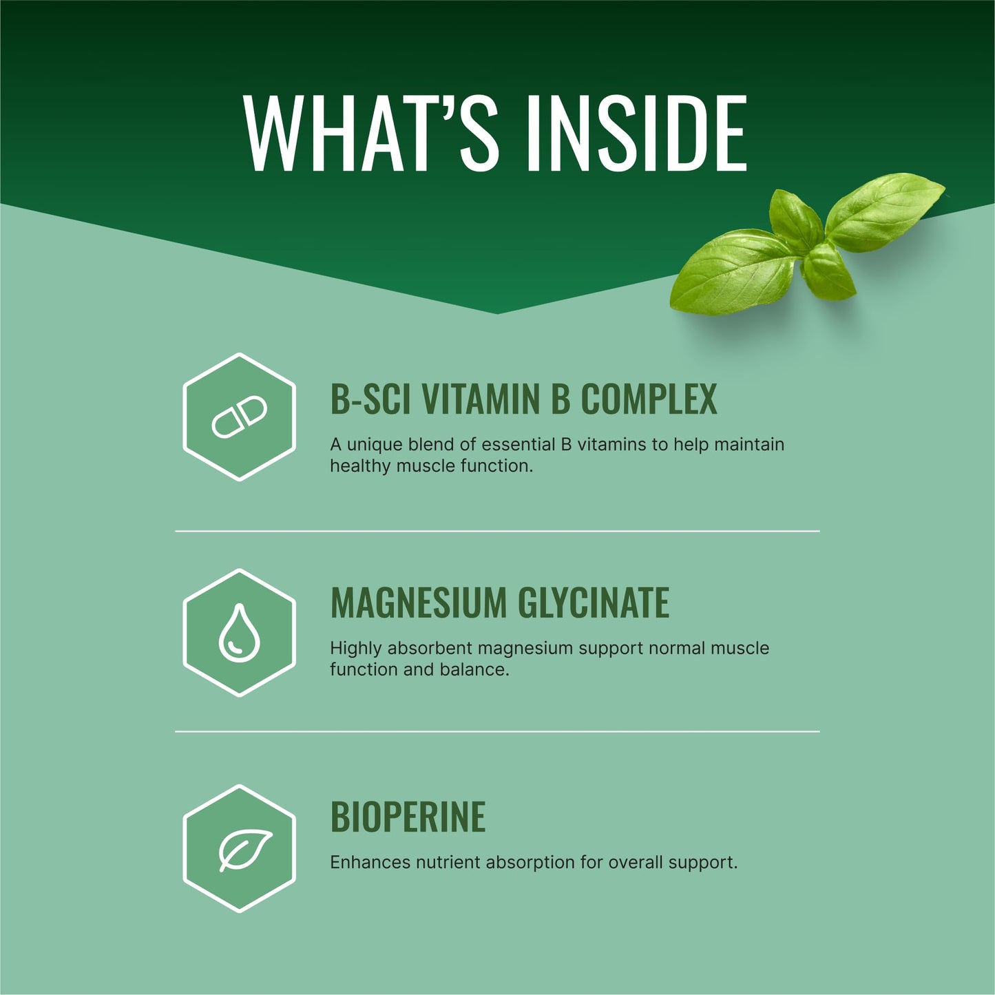 Approved Science Cramprin - High Absorption Magnesium, Vitamin B Complex, BioPerine - Muscle Cramps - 6 Month Supply - 2 Bottles - Vegan Approved Science