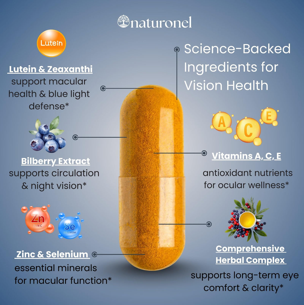 Naturonel Macular Support Formula – Vision & Eye Health with Lutein, Zeaxanthin, Bilberry, Eyebright & Antioxidants | Non-GMO, Made in USA, GMP Certified – 60 Capsules, 30 Day Supply (1) Naturonel