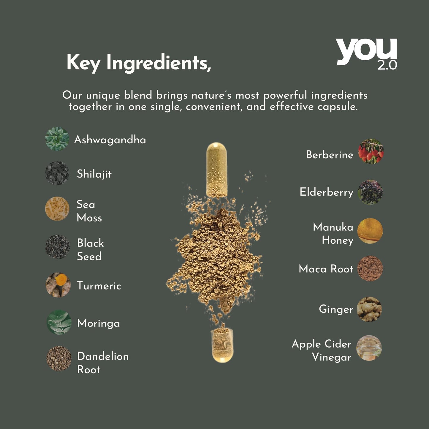 YOU 2.0 Powerhouse Superfood with Seamoss, Shilajit, Ashwagandha, Berberine, Maca, Black Seed Oil, Turmeric, Vitamin C, D, B12, K2 - Moringa, Apple Cider, Made in USA for Overall Health & Immunity YOU 2.0
