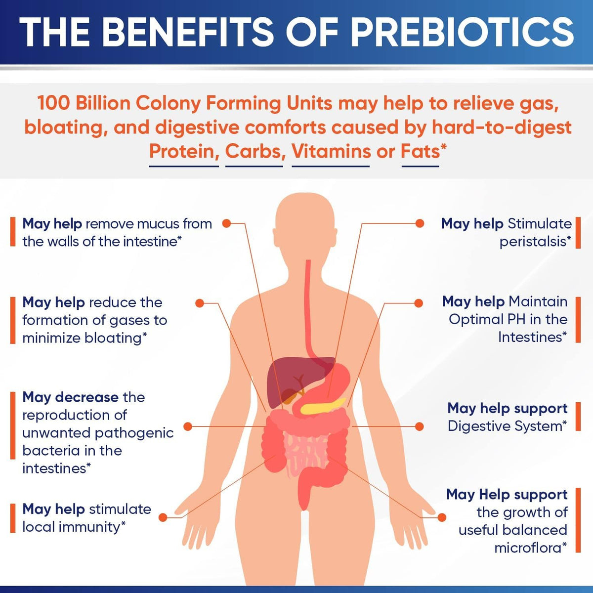 Wholesome Wellness 100 Billion CFUs with Prebiotics and Organic Probiotics 100 Billion CFU for Men and Women Bundle Gsupps Australia