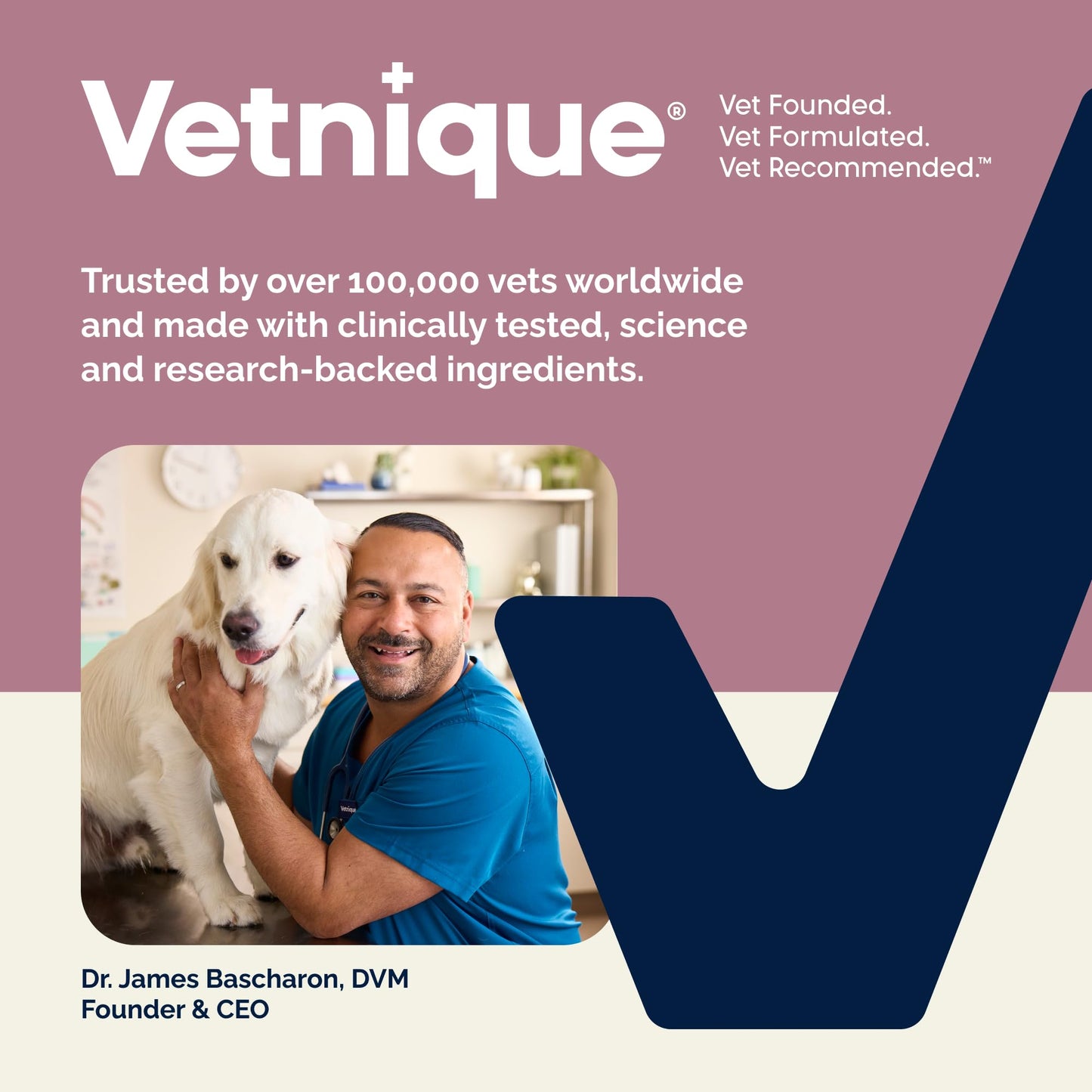 Vetnique Oticbliss Cat & Dog Ear Infection Treatment | Dog Ear Allergy Relief Drops, MicroSilver Yeast Infection Treatment for Dogs, Hydrocortisone for Itching, Redness Swelling (Ear Allergy Drops) Vetnique