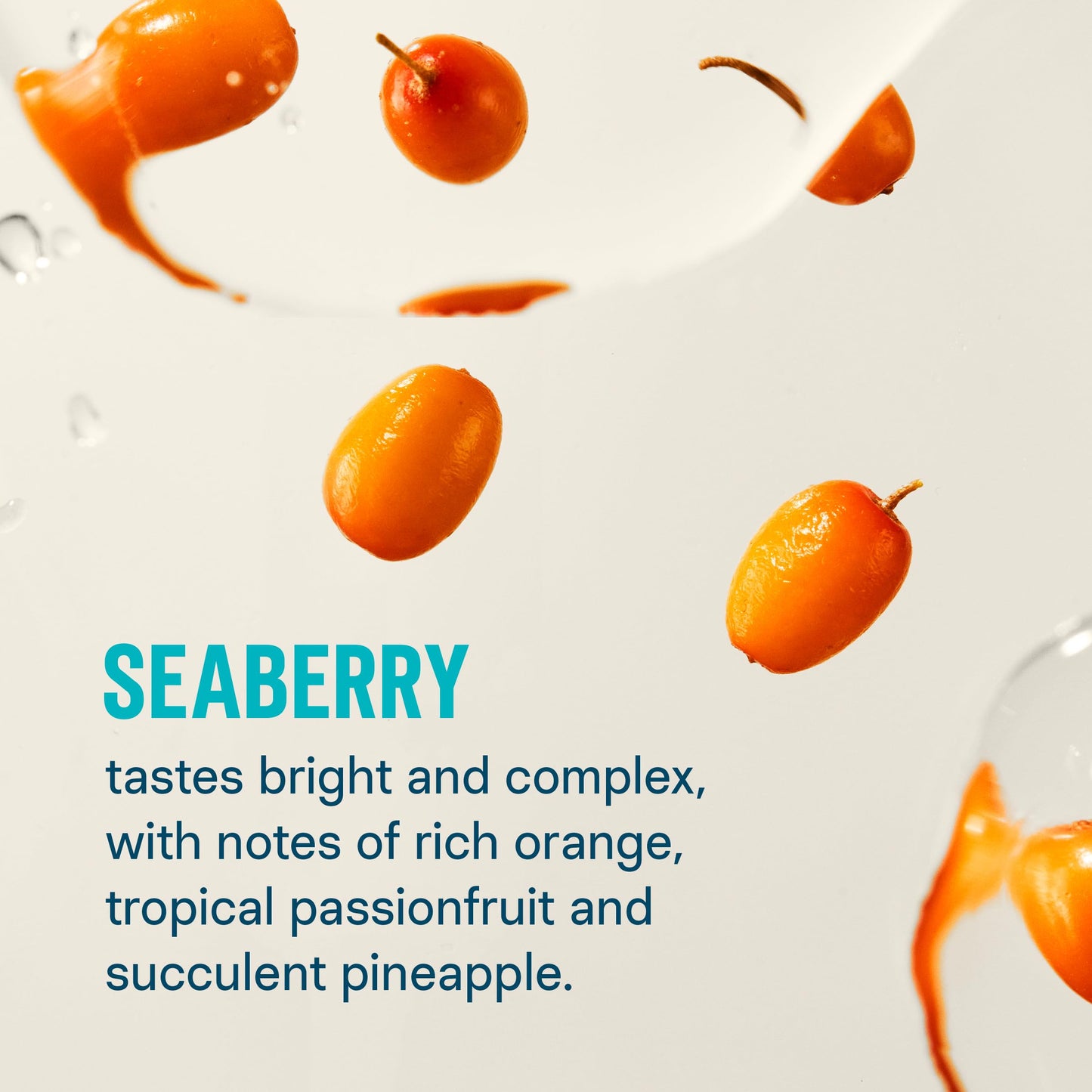 Liquid I.V.® Hydration Multiplier - Seaberry | Electrolyte Powder Drink Mix | 1 Pack (16 Servings) Liquid I.V.