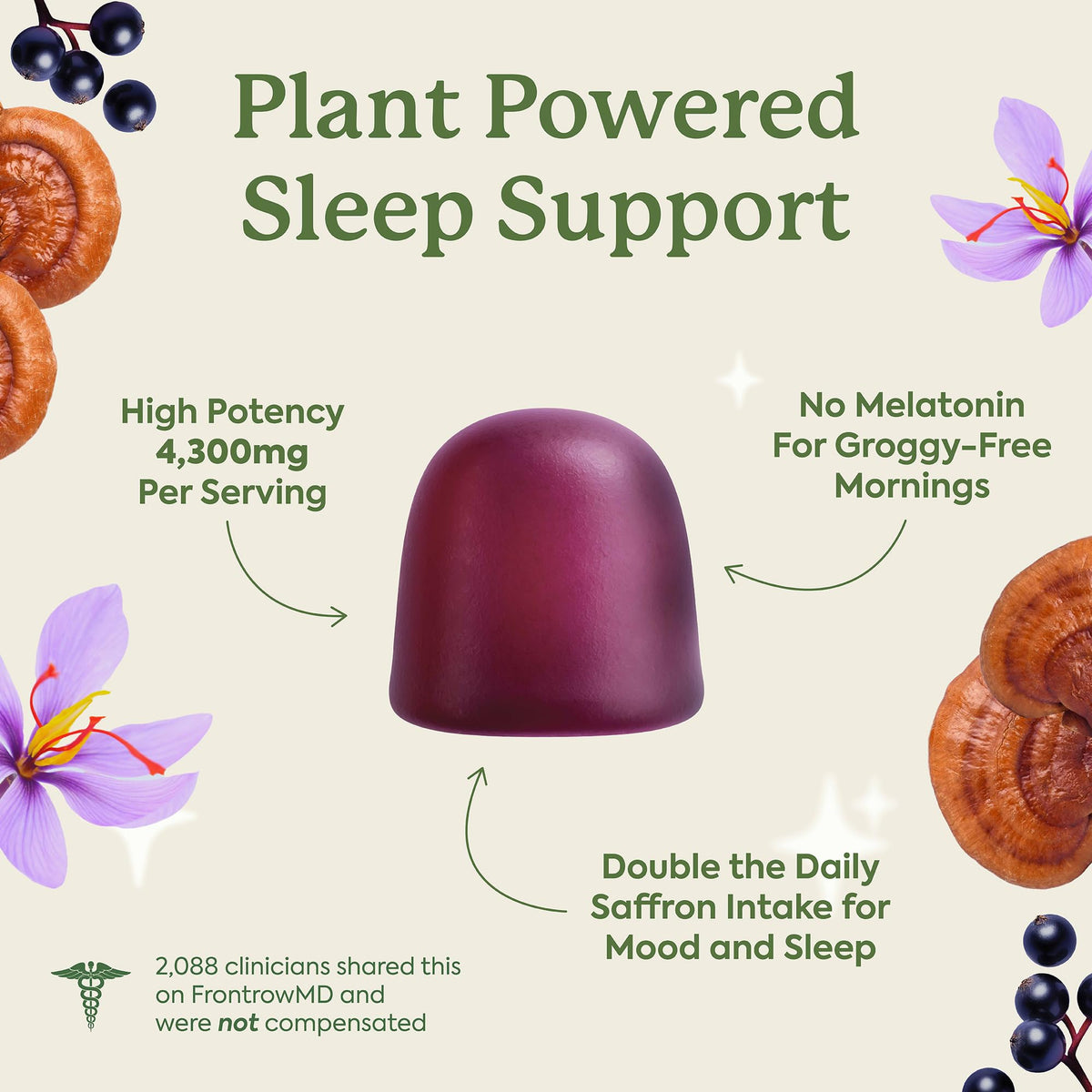 Plant People WonderSleep Mushroom Gummies Supplement for Sleep, No Melatonin with Reishi Super Mushrooms, Wild Elderberry Flavor, Sugar-Free (60 Count) Plant People