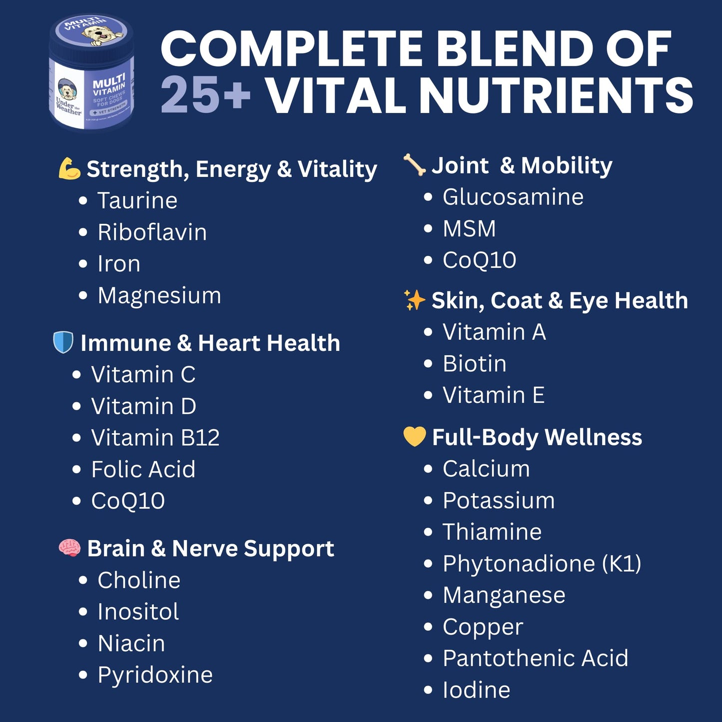 Under the Weather Multivitamin for Dogs | Vet Formulated Daily Canine Health Supplies for Immunity, Skin, Coat & Joint Support | All-in-One Multivitamin for Dogs of All Breeds & Sizes | 60 Count Under the Weather