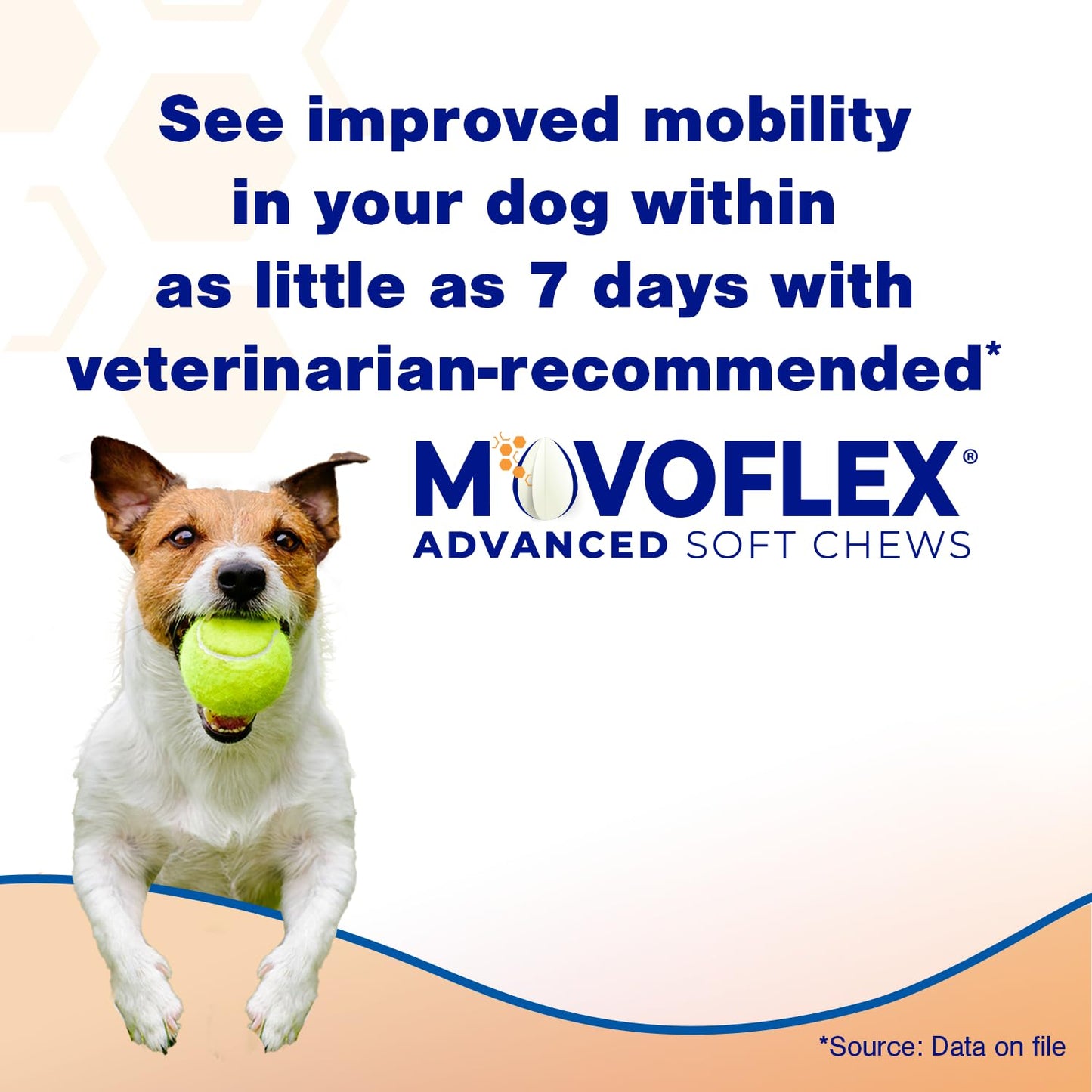 MOVOFLEX Advanced Soft Chews Hip Joint Support Supplement for Large Dogs 60 Count by Virbac MOVOFLEX