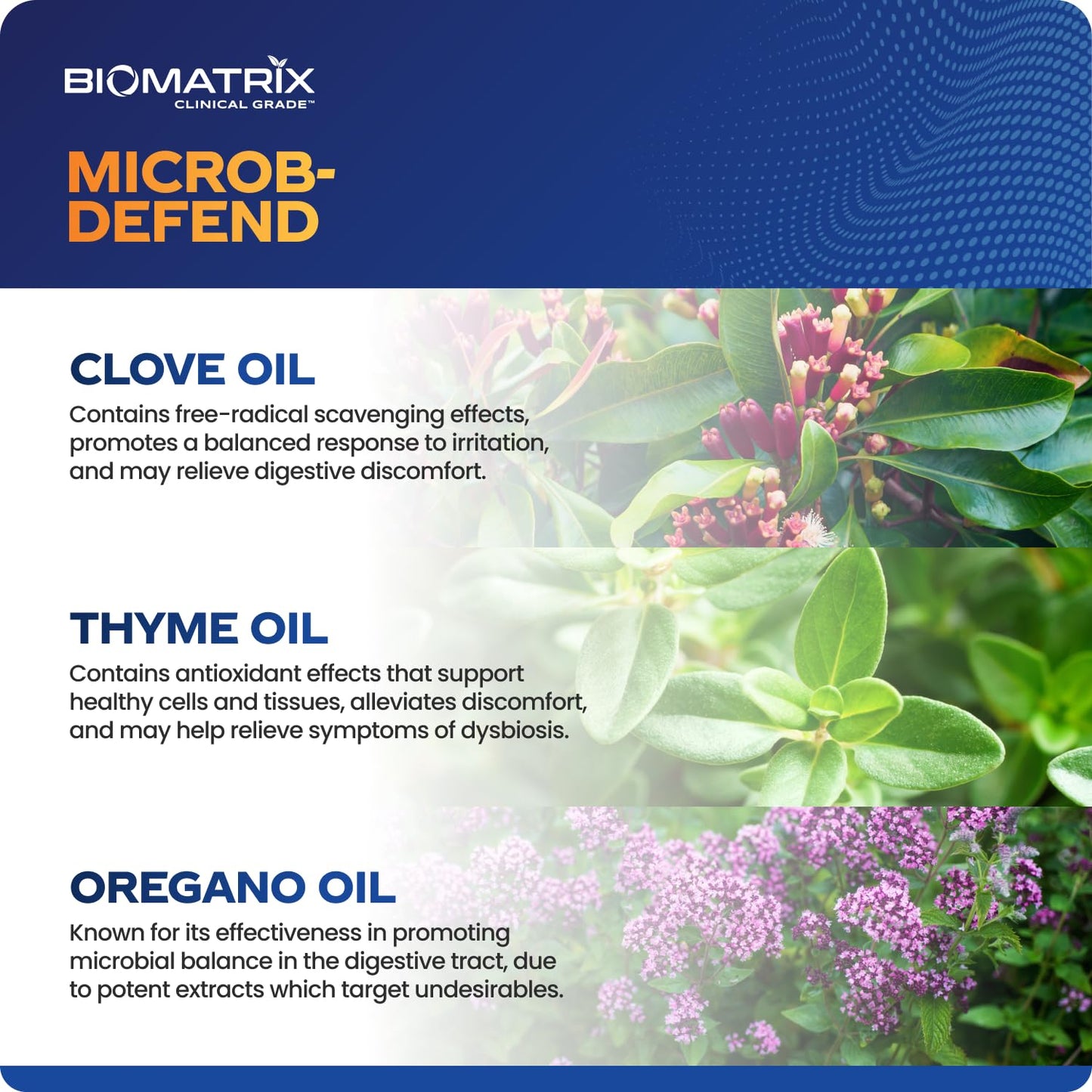 BioMatrix Biofilm Disruptor, GI Repair Digestive Supplement for Men and Women, Oil of Thyme, Oregano & Clove, Gut Microbiome & Intestinal Health Support | Microb-Defend (90 Softgels) BioMatrix