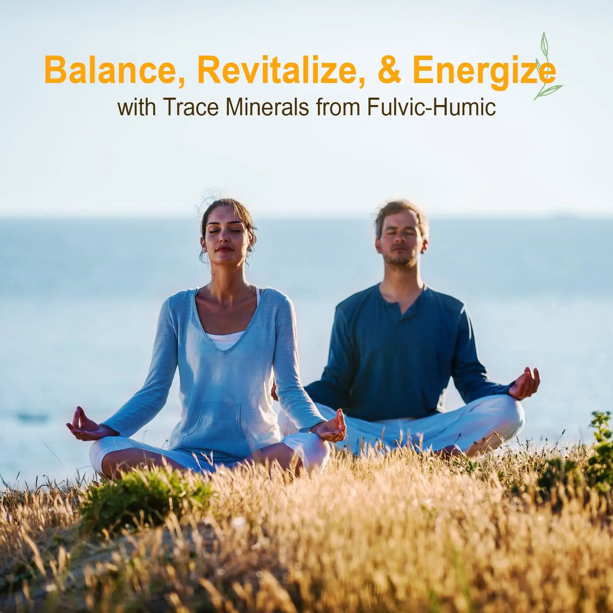 Vital Earth Minerals Fulvic Humic Mineral Blend Liquid – Fulvic Acid Supplement with 70+ Trace Minerals, Electrolytes for Recovery Vital Earth Minerals