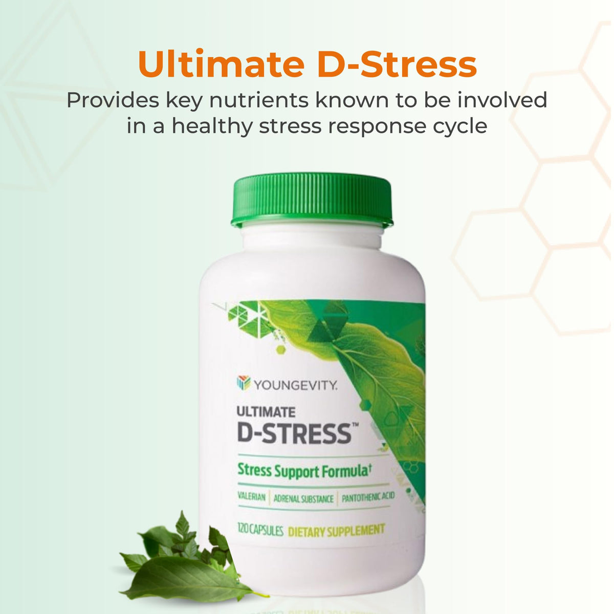 Youngevity Ultimate D-Stress™ – Natural Stress Relief Supplement with Magnesium, Valerian Root Extract, and B Vitamins – Supports Adrenal Health and Nervous System – 120 Capsules Youngevity