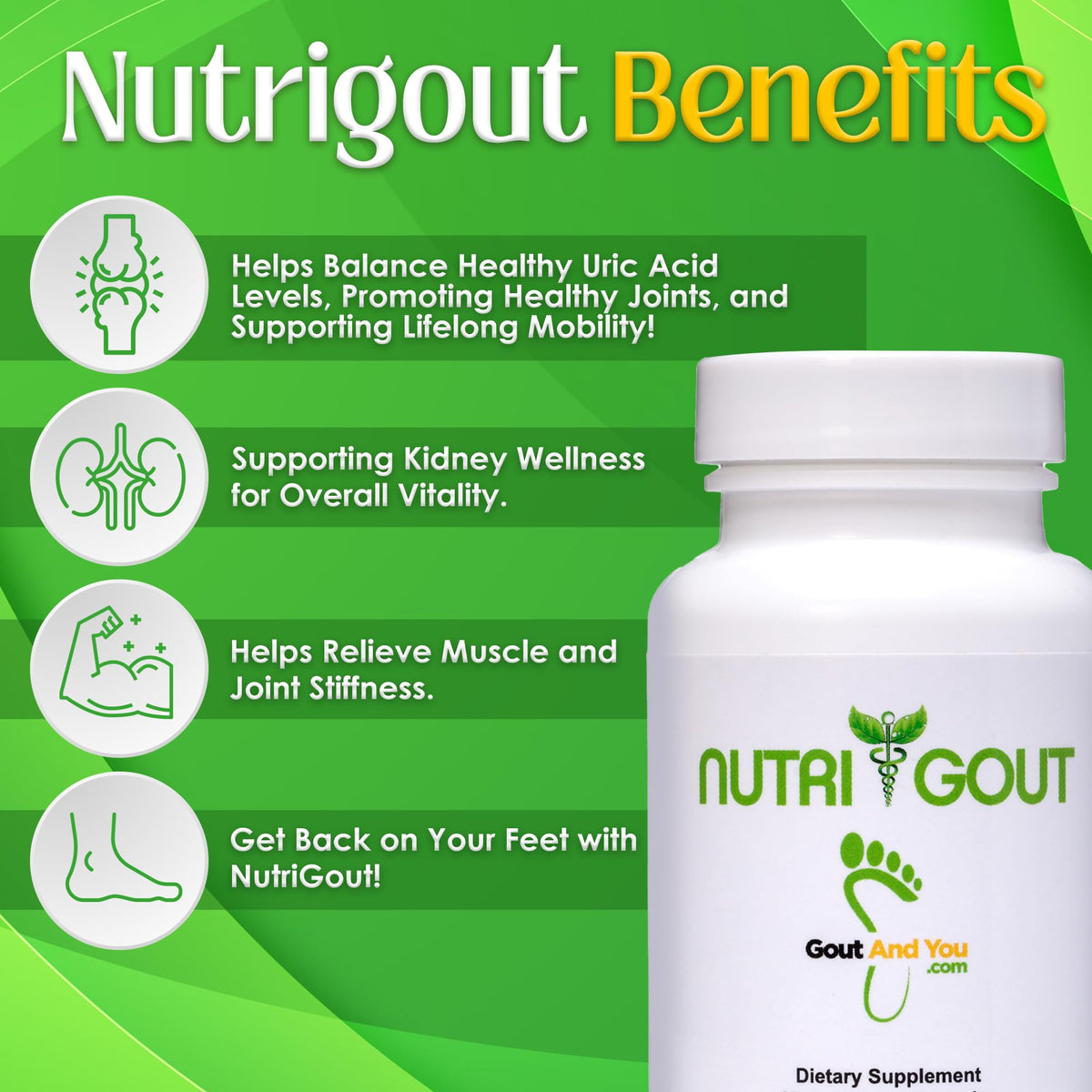Nutrigout and Joint & Muscle Relief Cream Gout and You