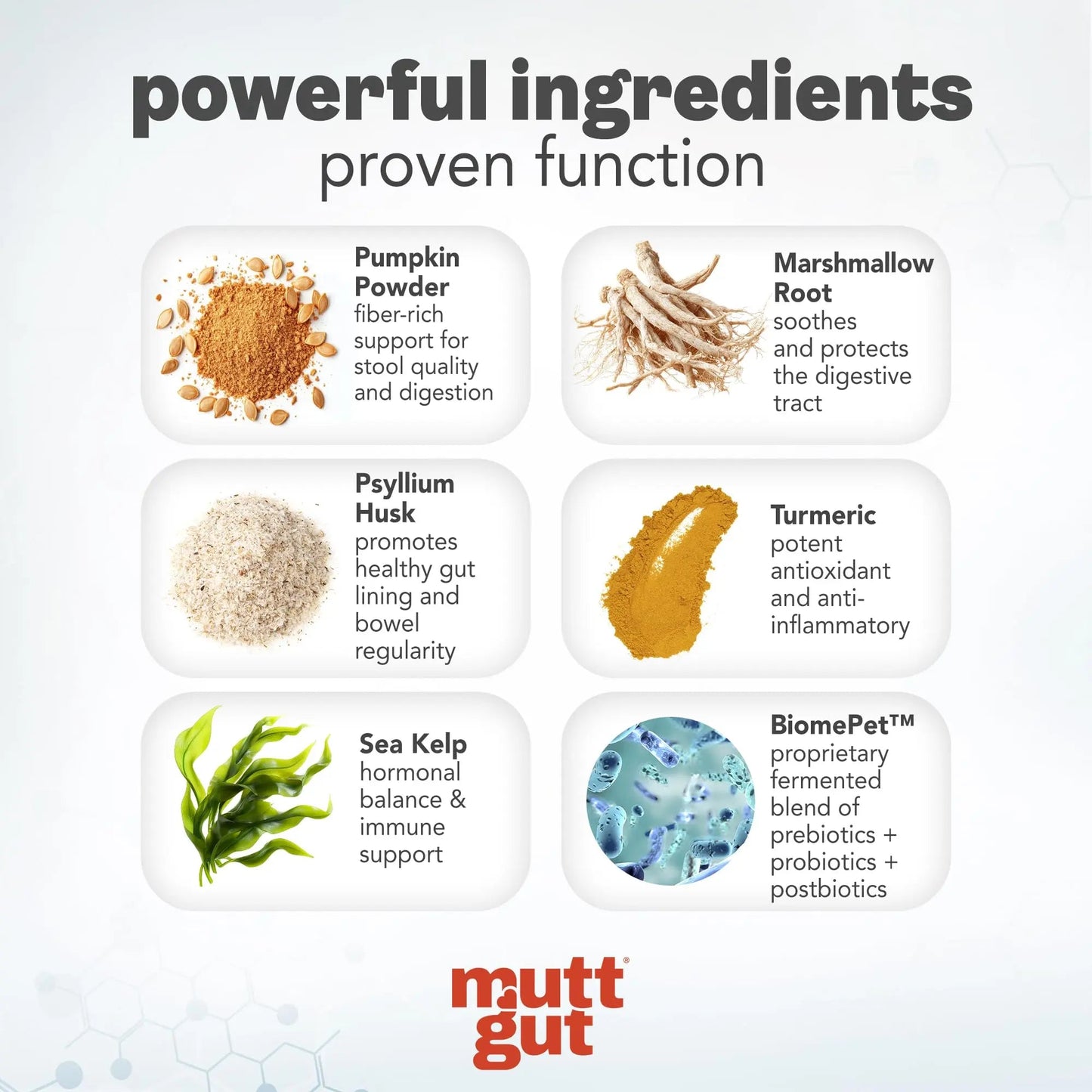 MuttGut® 3-in-1 Puppy & Dog Probiotics + Prebiotics + Postbiotics Chews - Promotes Digestive Health, Supports Immune System and Overall Health - Dog Diarrhea Relief & Immune Support - 60 Soft Chews MUTTGUT