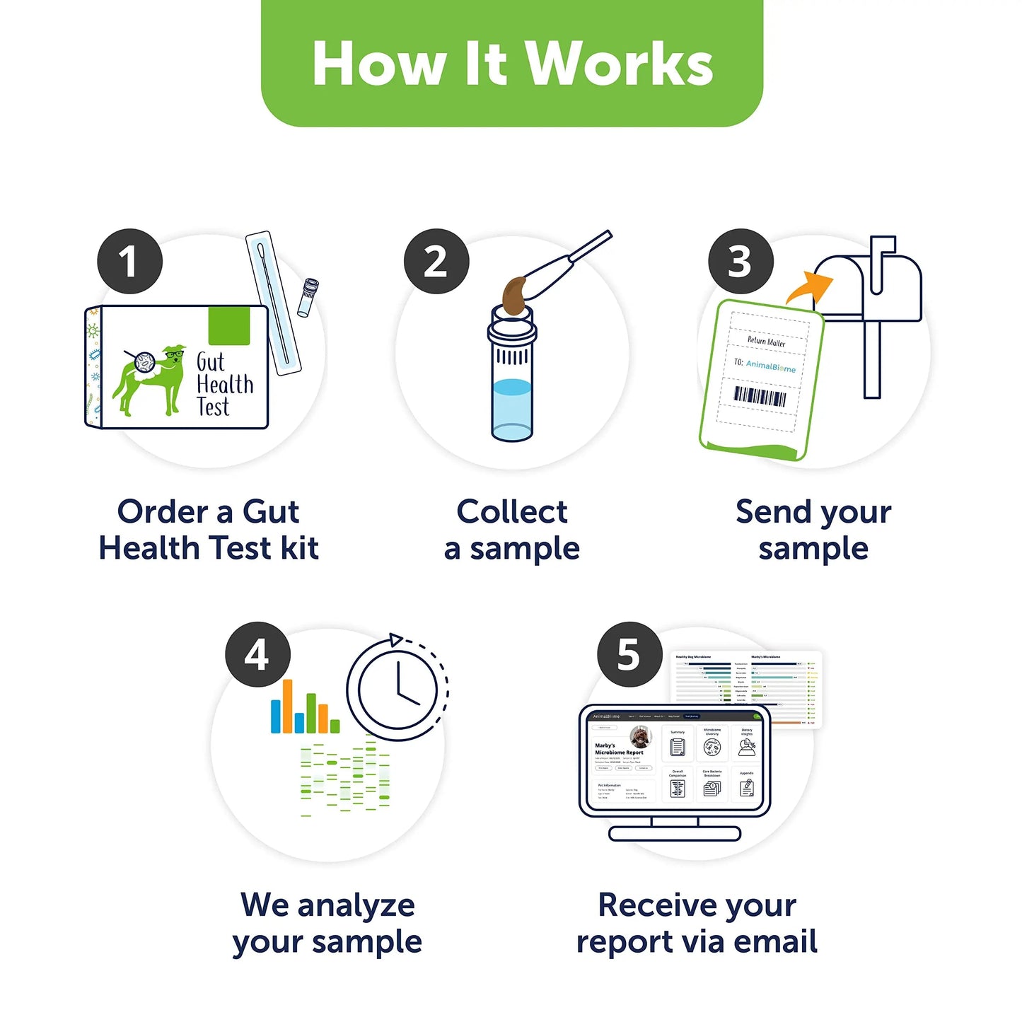 AnimalBiome Dog Gut Health Test – DoggyBiome At Home Stool Testing Kit, Canine Fecal Analysis for Digestive Issues, Diarrhea & Allergy Insights w/Personalized Report & Custom Plan (Dogs in US) AnimalBiome