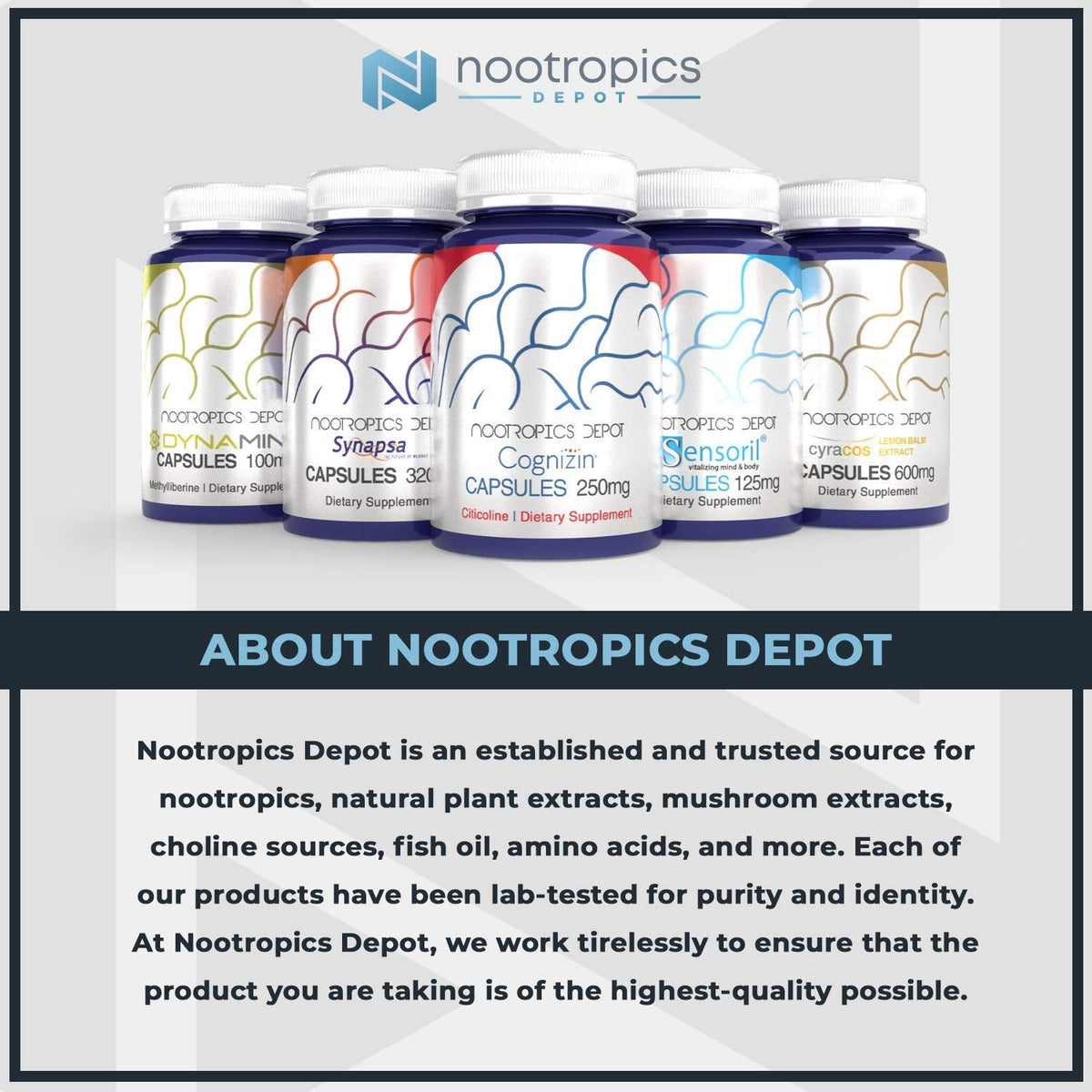 Nootropics Depot Uridine Monophosphate Capsules | Disodium Salt (60 Count) Cognitive Enhancer* | Nootropic | Choline Precursor Gsupps Australia