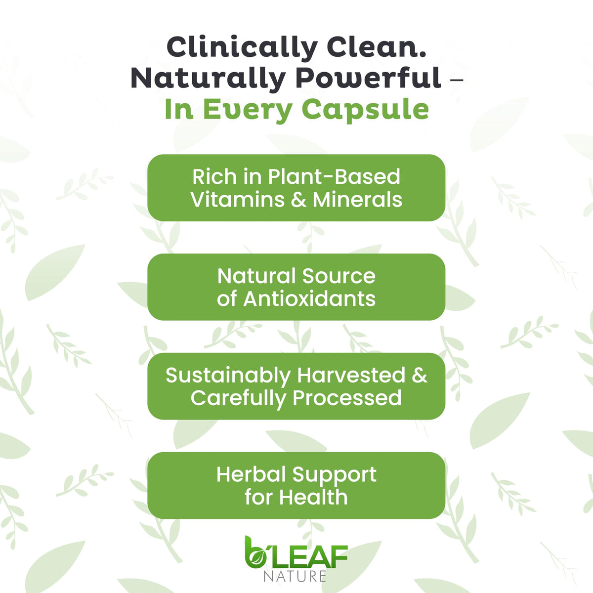 B'LEAF NATURE Moringa and Quercetin Bundle - Non-GMO, Vegan, High Absorption Capsules - 1000mg Quercetin Phytosome Blend + 1000mg Moringa - Natural Energy, Wellness and Immune Support Supplements B'LEAF NATURE