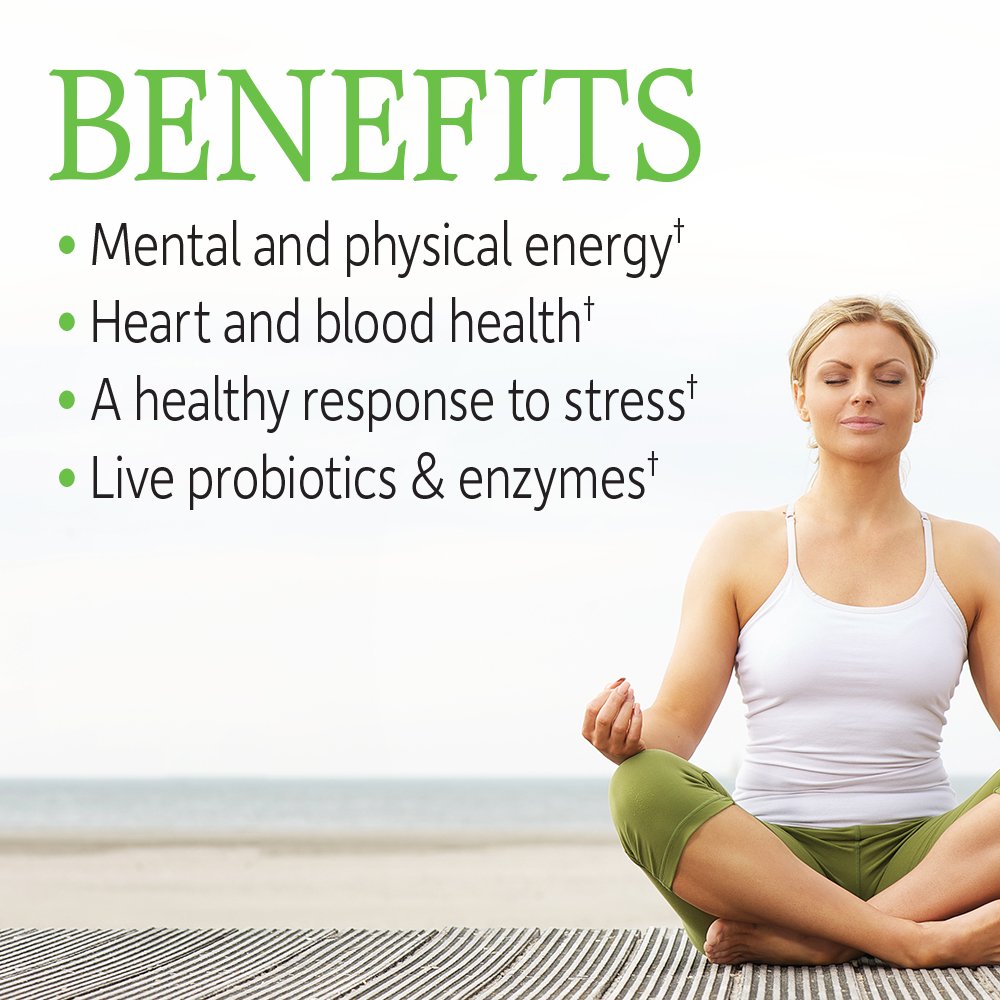 Garden of Life Vitamin B Complex, 120 Vegan Capsules, High Potency Vitamins for Energy & Metabolism with B6, Folate & B12 Garden of Life