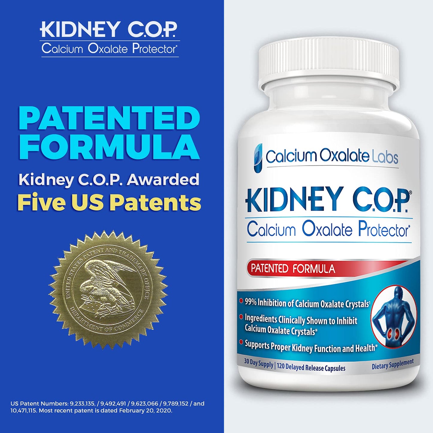 KIDNEY C.O.P. Calcium Oxalate Protector 120 Capsules, Patented Kidney Support for Calcium Oxalate Crystals, Stop Recurrence KIDNEY C.O.P.