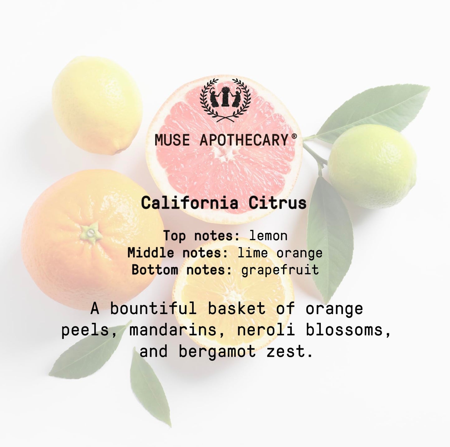 Muse Bath Apothecary Room Ritual - Aromatic and Relaxing Room Mist, 8 oz, Infused Muse Apothecary
