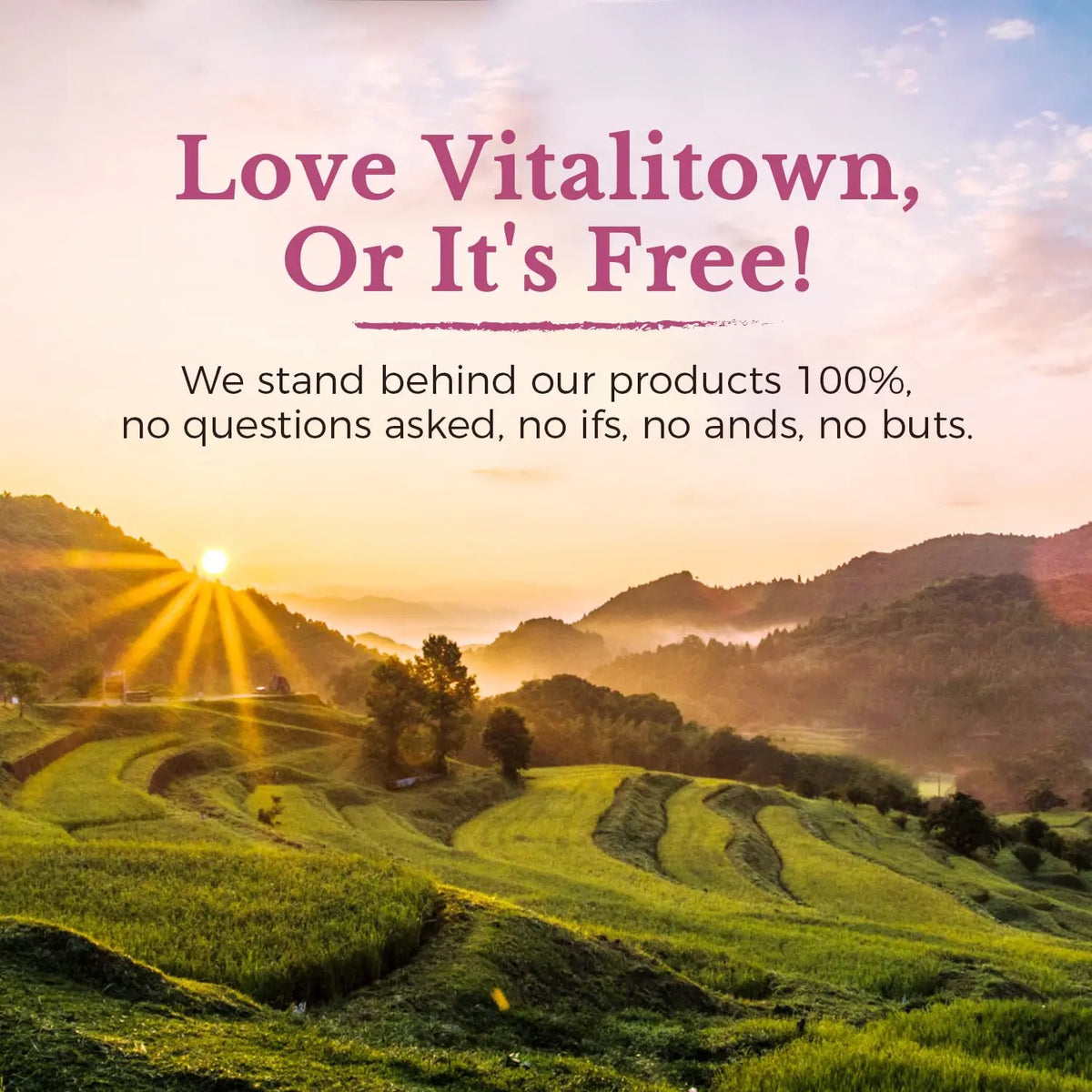 Vitalitown Probiotics for Women 120 Billion CFUs, 30 Strains, with Prebiotics & Digestive Enzymes & Cranberry, Gut & Vaginal Health, Vegan 30 Vitalitown