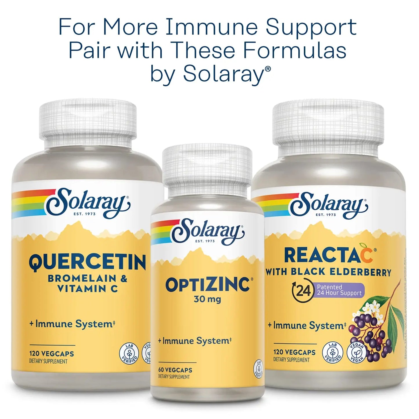 SOLARAY L-Lysine Monolaurin Immune Support Supplement, 1:1 Ratio for Immune System Function, 500 mg Each, 60-Day Money Back Guarantee SOLARAY