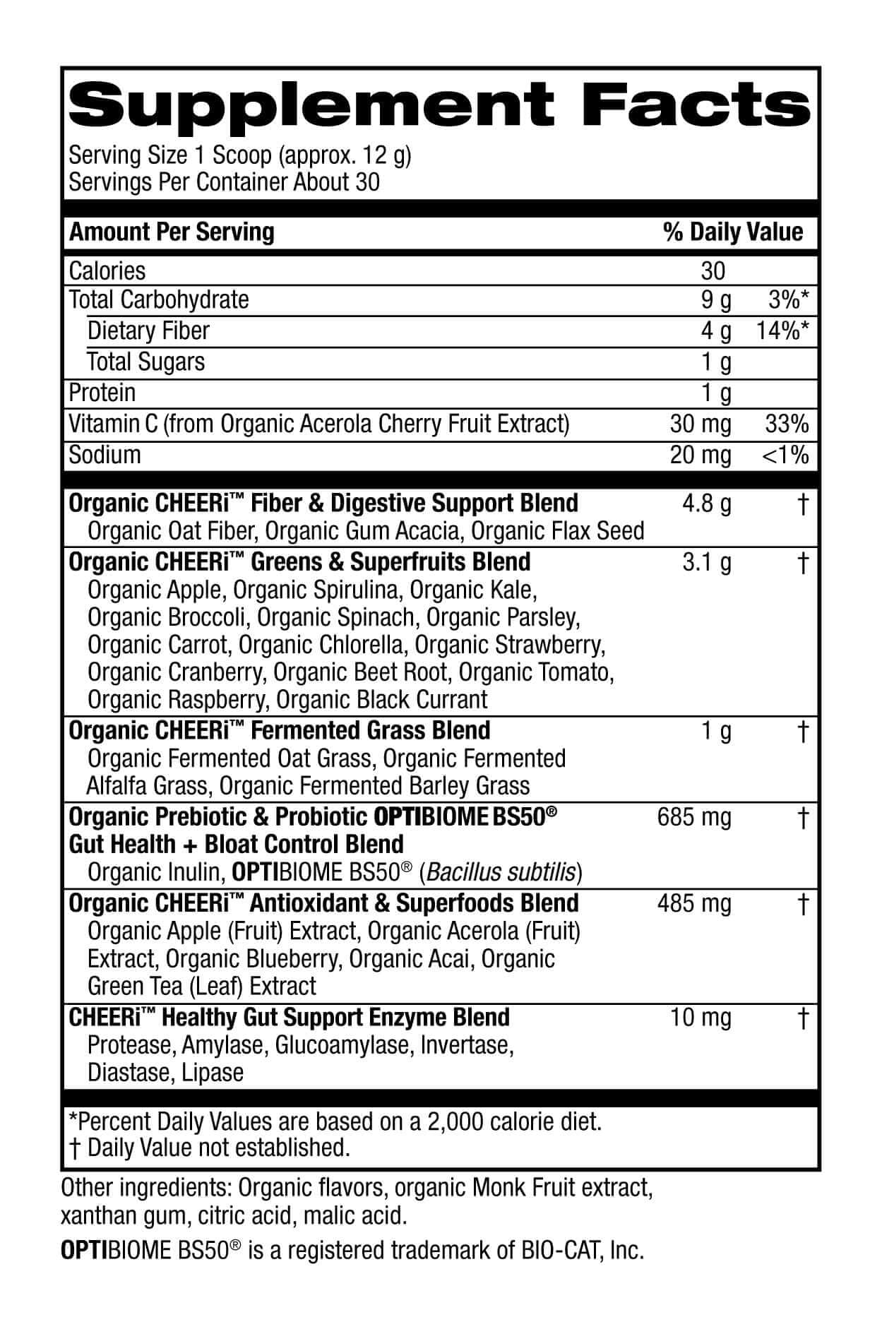 Cheerific Green Apple Bliss Superfood Powder - 20+ Organic Superfoods + Prebiotic & Probiotics + More - Keto Friendly - Supports Positive Mood, Gut Health - Vegan, Gluten Free, Non-GMO - 30 Day Supply Cheerific