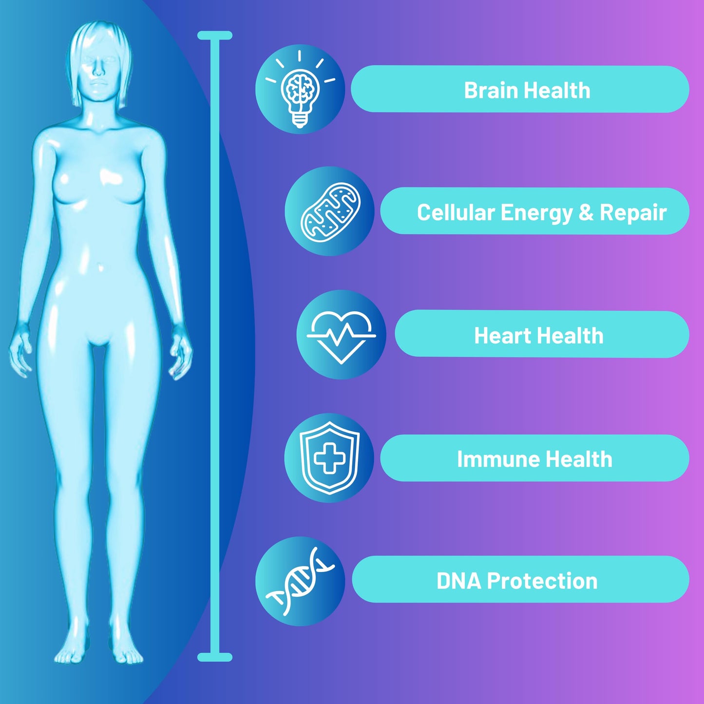 Advanced Bionetix NAD Supplement with Nicotinamide Riboside Plus Resveratrol, Quercetin, Betaine w/RiboYOUNG™ for True Anti Aging Advanced Bionetix